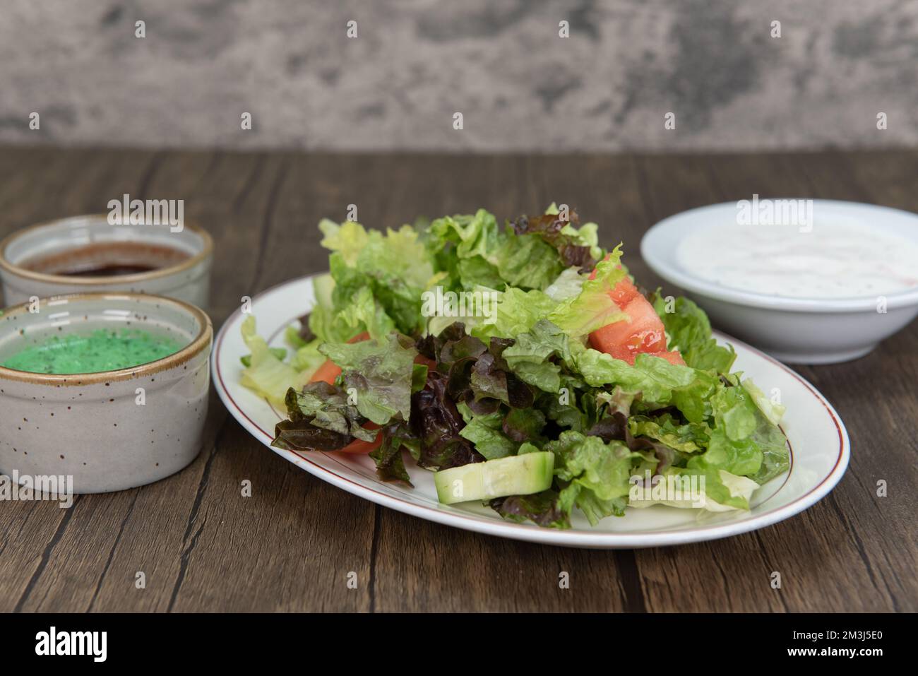 Die gesunde Vorspeise für die indische Küche ist ein gemischter Garten mit traditioneller Humus Dipping Sauce. Stockfoto