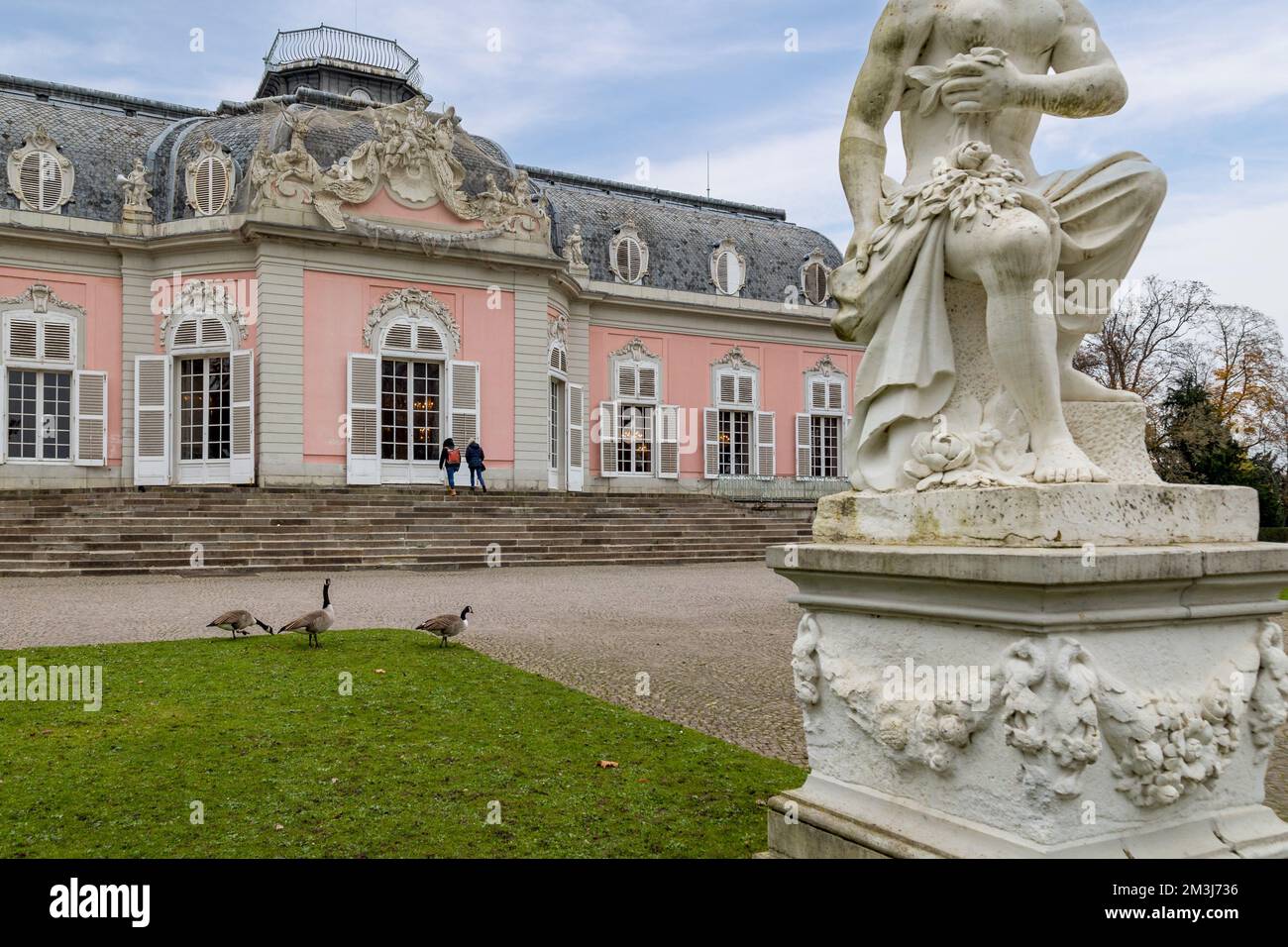 Graue Gänse im Benrath Castle Park Stockfoto