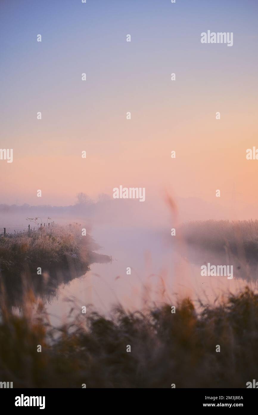 Der Fluss Pinnau im Morgenstaub. Hochwertiges Foto Stockfoto