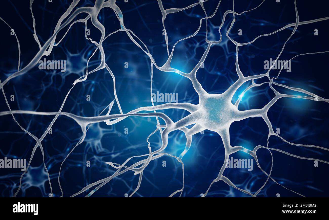 Neuronen im Gehirn. Nervenzelle. Neurone. Neuronzellen. Neurologie. 3D Abbildung. Stockfoto