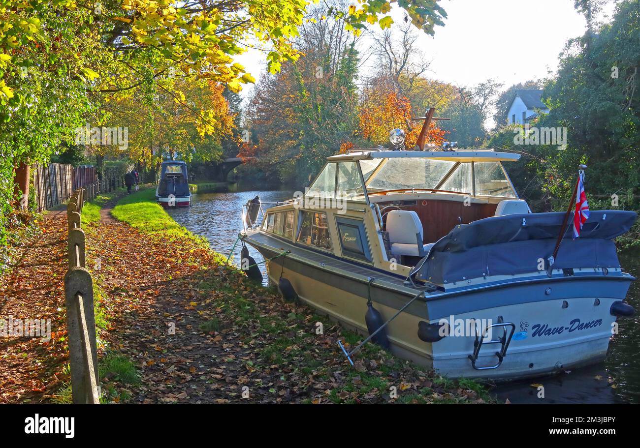 Wave-Dancer, Kabinenkreuzfahrer, im Herbst, am Bridgewater Canal, Grappenhall, Warrington, Cheshire, England, Großbritannien, WA4 2SJ Stockfoto