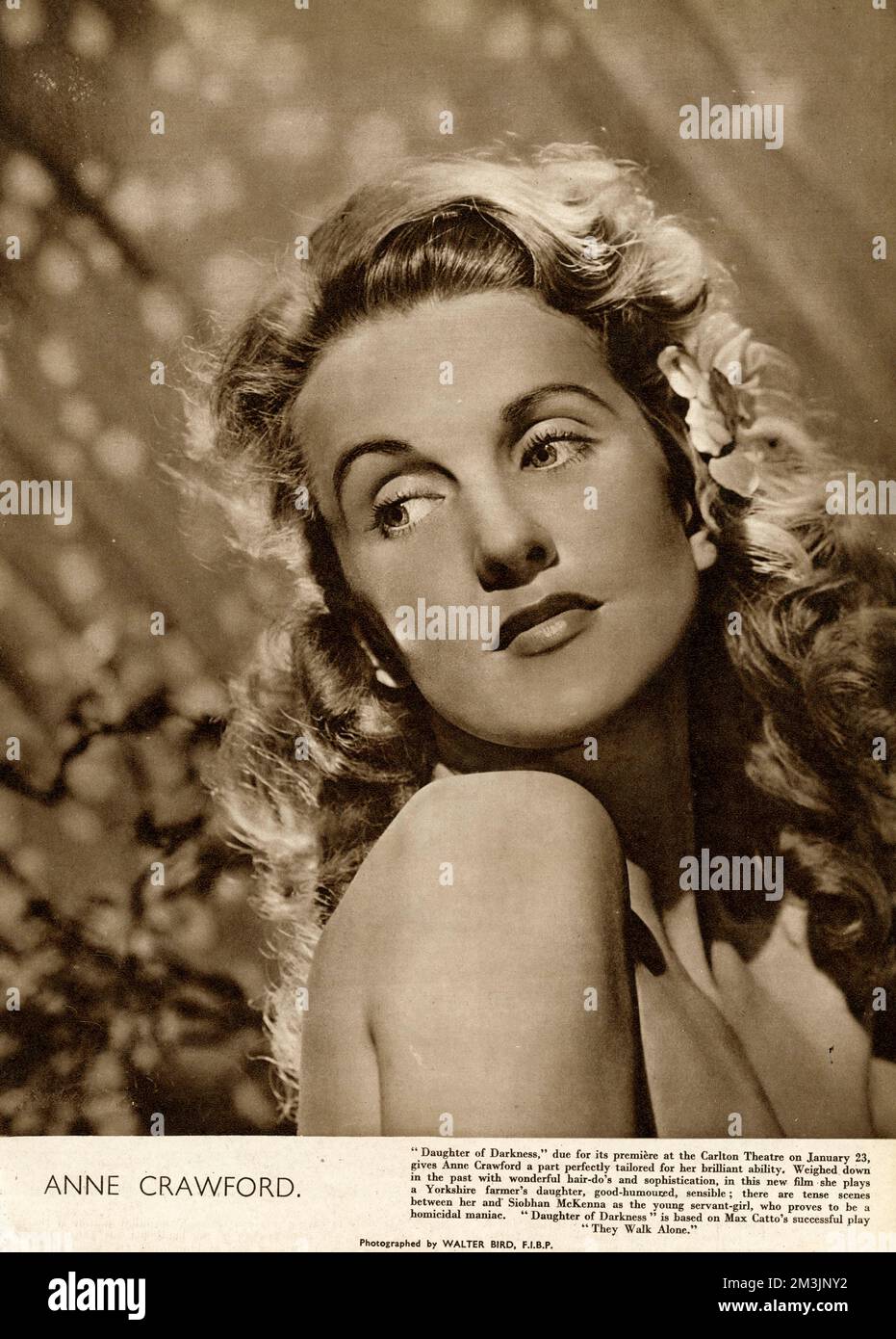Anne Crawford (1920-1956), Nee Imelda Crawford, britische Filmschauspielerin. Datum: 1948 Stockfoto