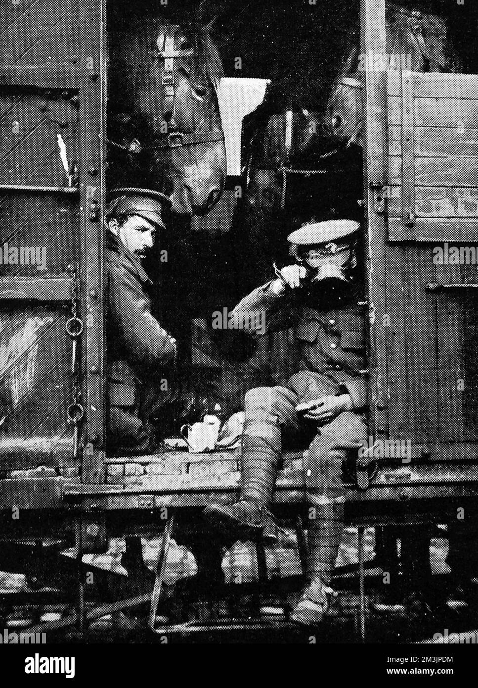 Britische Soldaten der britischen Expeditionstruppe teilen sich einen Eisenbahnwagen und eine Mahlzeit, mit einigen Pferden, auf dem Weg zur Front im August 1914, kurz nach Ausbruch des Ersten Weltkriegs 1914 Stockfoto