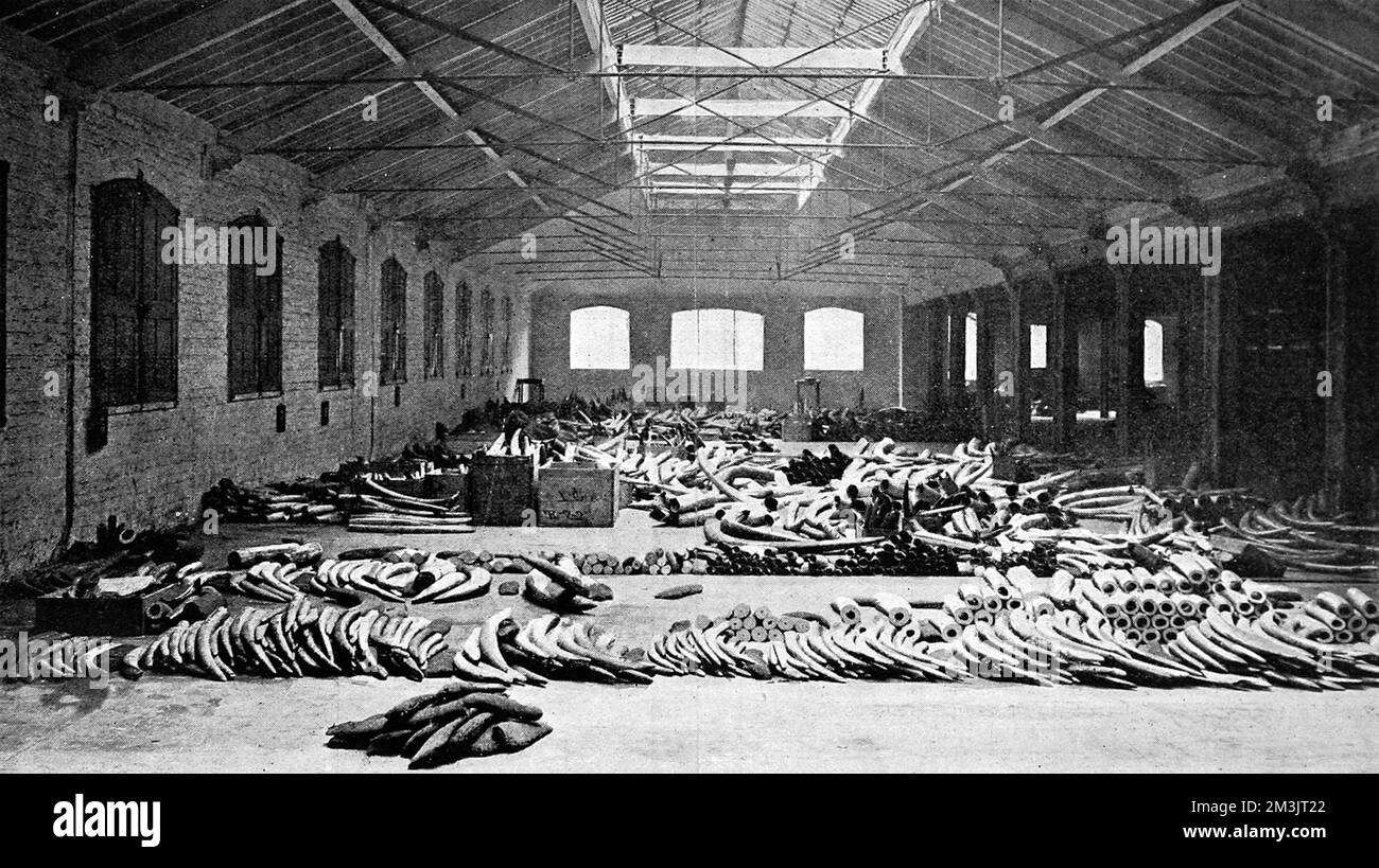 Elfenbeinboden an den Londoner Docks Stockfoto