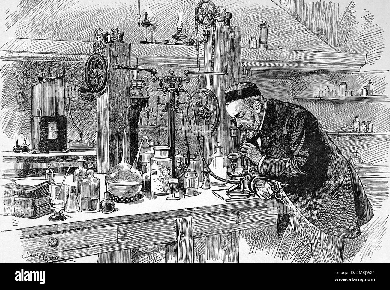 Louis Pasteur (1822 - 1895), französischer Biologe, Mikrobiologe, studierte Chemie unter Delafosse. Als er die Natur der Gärung entdeckte, forschte er weiter seine Theorie über Krankheitserreger. Er zeigte, dass die Impfung von Rindern mit Milzbrandstämmen sie vor Infektionen durch nachfolgende Impfungen schützte. Er hat diese Theorie bei der Behandlung der Tollwut verwendet. Stockfoto