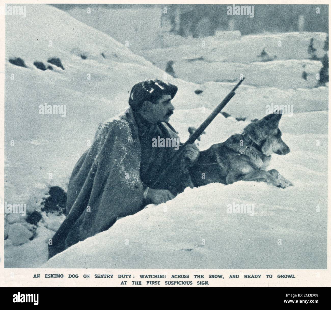 Ein französischer Soldat blickt über einen Schlitzgraben, während sein deutscher Schäferhund ebenfalls wachsam ist. Der Hund ist bereit, beim ersten verdächtigen Anzeichen eines Angriffs zu knurren. Stockfoto