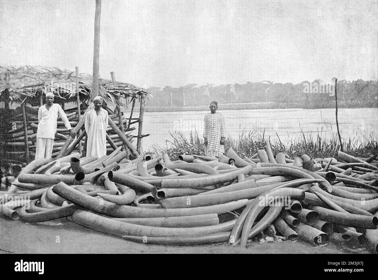 Tippoo Tib's Ivory Store at Stanley Falls, Lualaba River, ca. Stockfoto