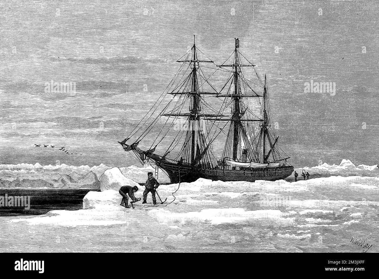 Die Yacht „Eira“, die von Benjamin Leigh Smith verwendet wurde, um die arktische Region um Franz Joseph Land und den Ozean nördlich von Russland, 1881-1882, zu erkunden. Die „Eira“ wurde im Eis gefangen und sank im August 1881 vor Cape Flora. Die Crew erlebte dann eine epische Reise in Sicherheit, schleppte die Boote über Eis und segelte durch einen starken Sturm, um zu versuchen, Nova Zembla zu erreichen. Sir Allen Young rettete sie auf dem Schiff "Hope" in der Matotchkin-Straße, August 1882. Datum: 1882 Stockfoto