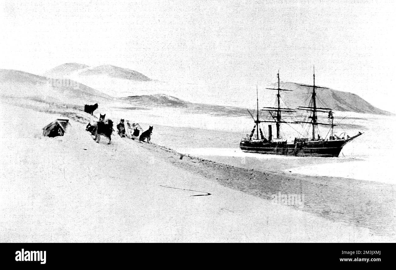 Foto des Polarforschungsschiffs „Discovery“ der Nationalen Antarktis-Expedition von 1901-4, gefroren im Eis, Antarktis. Zum Zeitpunkt dieses Fotos war die „Discovery“ fünf Meilen vom offenen Wasser entfernt. Auf der linken Seite des Bildes sehen Sie einige der Schlittenhunde der Expedition. Datum: 1903 Stockfoto