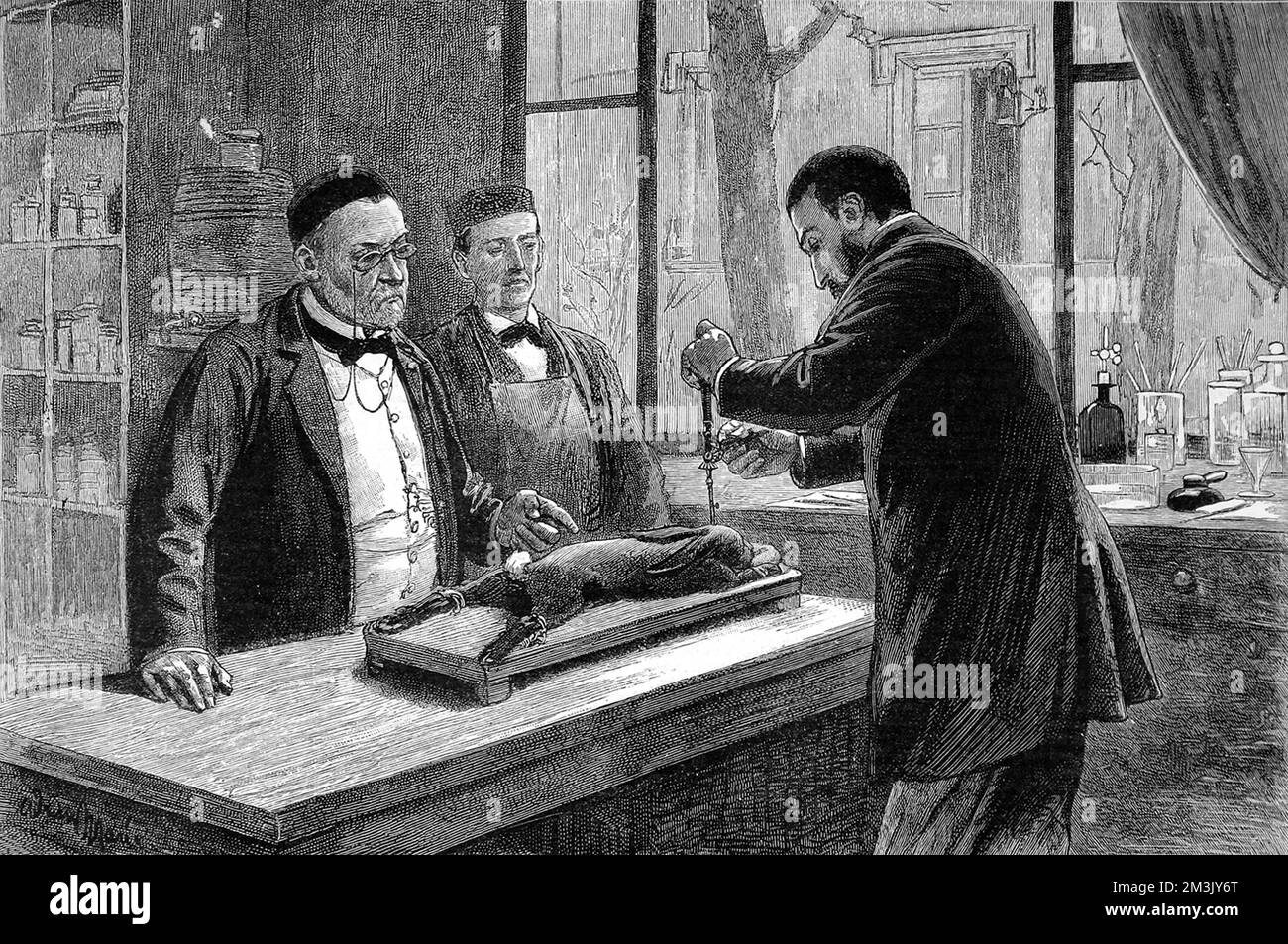 Louis Pasteur (1822 - 1895), Chemie unter Delafosse studiert. Er entdeckte die Natur der Gärung und forschte weiter seine Theorie über Krankheitserreger. Pasteur zeigte, dass die Impfung von Rindern mit Milzbrandstämmen sie vor Infektionen durch nachfolgende Impfungen schützte. Er hat diese Theorie bei der Behandlung gegen Tollwut benutzt. 1885 Stockfoto