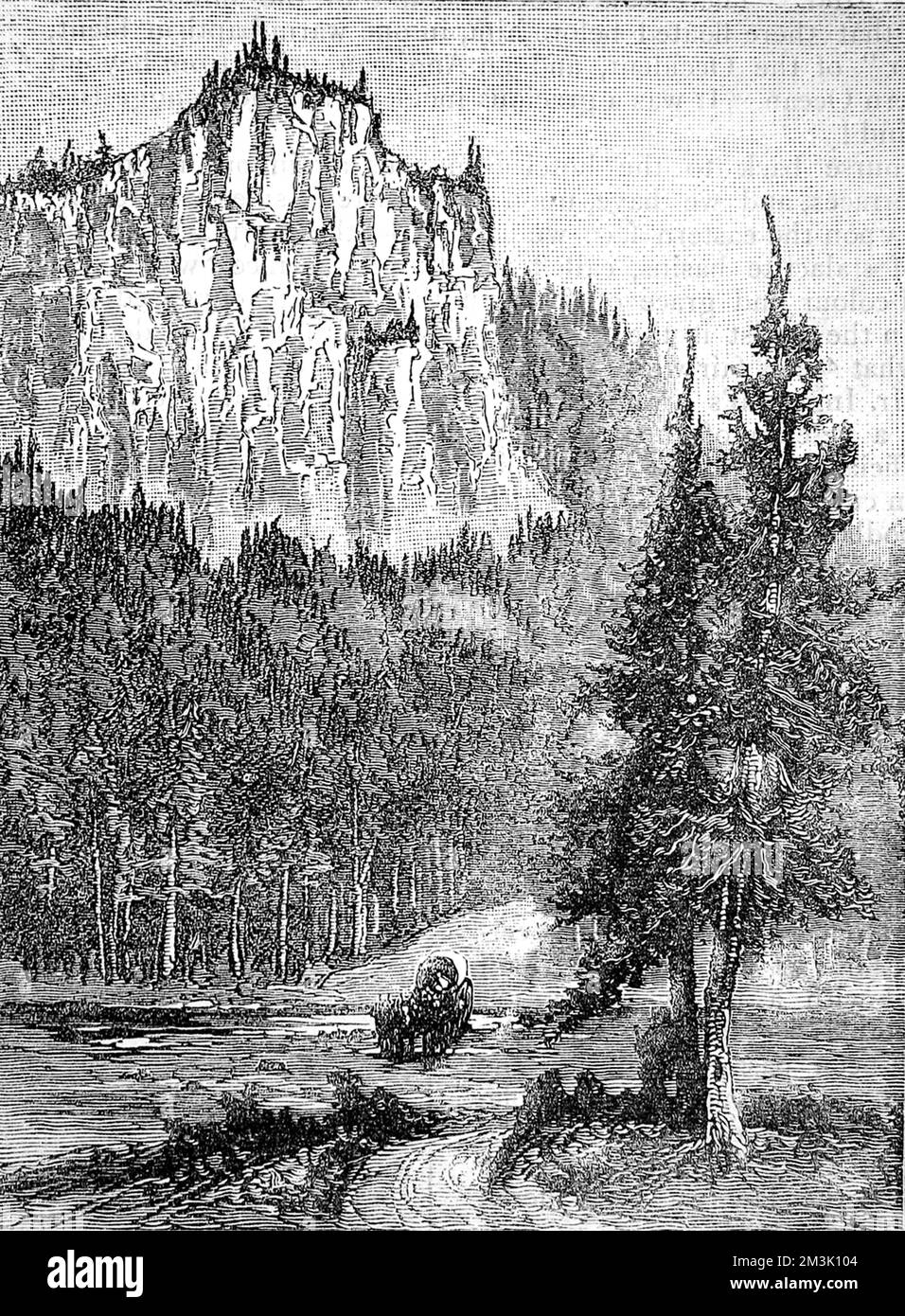 Ein Waggon am Fluss im Gibbon Canyon, Yellowstone Park, USA, 1888. Im März 1872 machte Präsident Grant Yellowstone zum Nationalpark, "...zum Wohle und zum Vergnügen der Menschen." Stockfoto