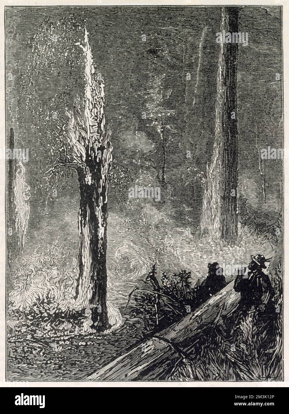 Mehrere Männer verbrennen eine Lichtung im Wald von Kalifornien, vielleicht um Platz für Wohnungen oder Ackerland zu schaffen. Stockfoto