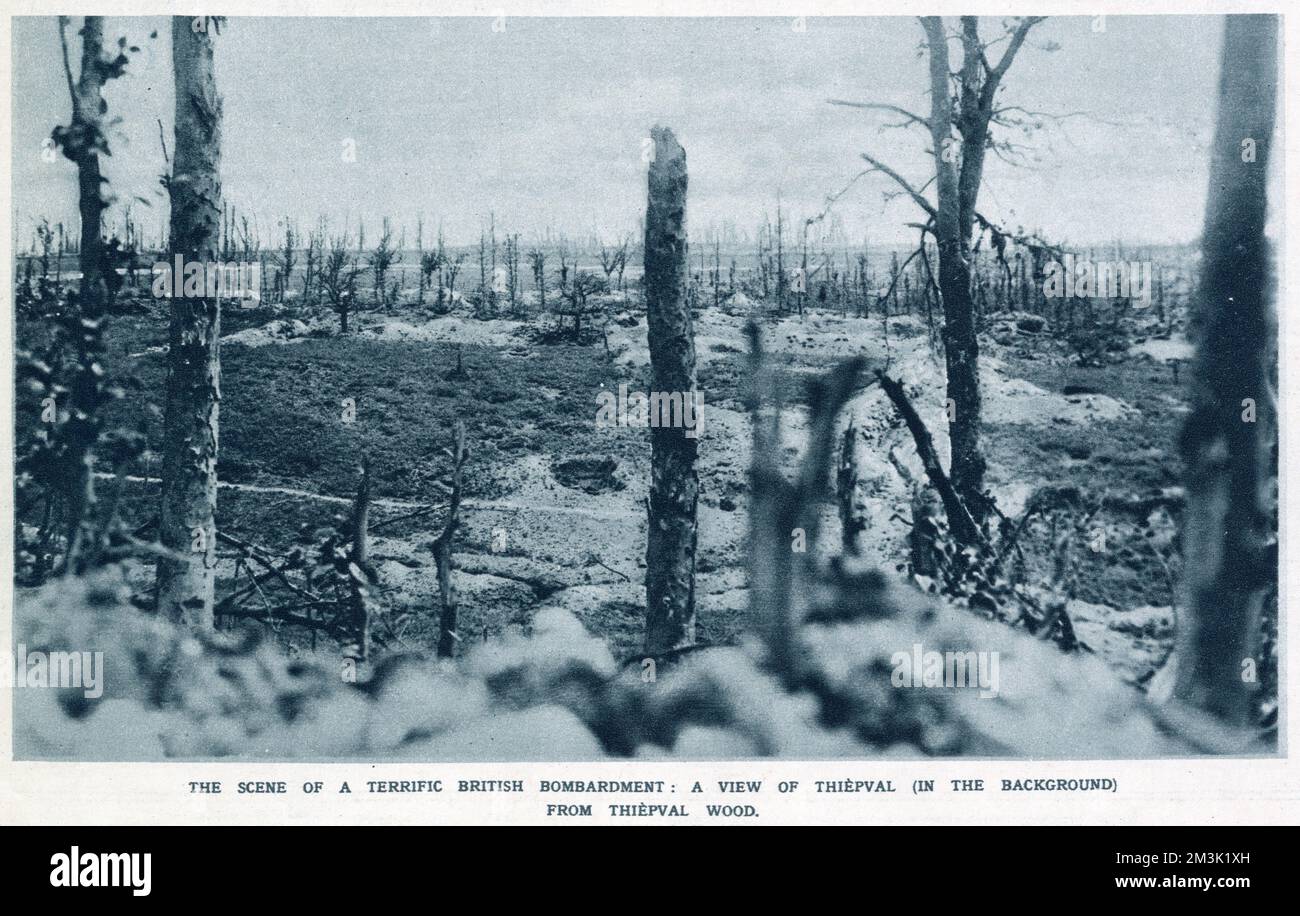 Ein Blick auf Thiepval Wood, Schauplatz schwerer Artilleriebombardierungen durch die britische Armee während des Ersten Weltkriegs. Stockfoto