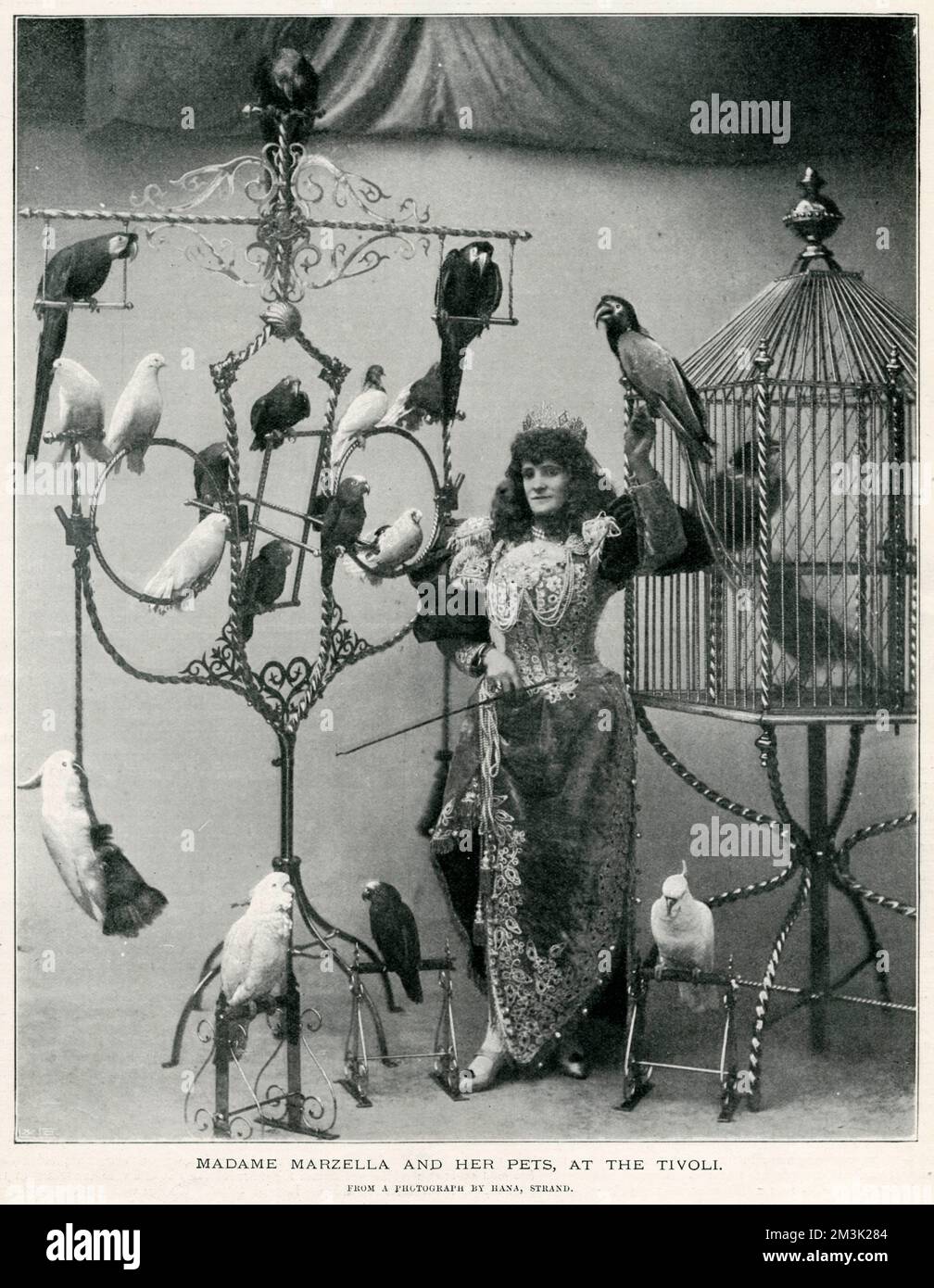 Madame Marzella mit ihren Haustieren im Tivoli Stockfoto