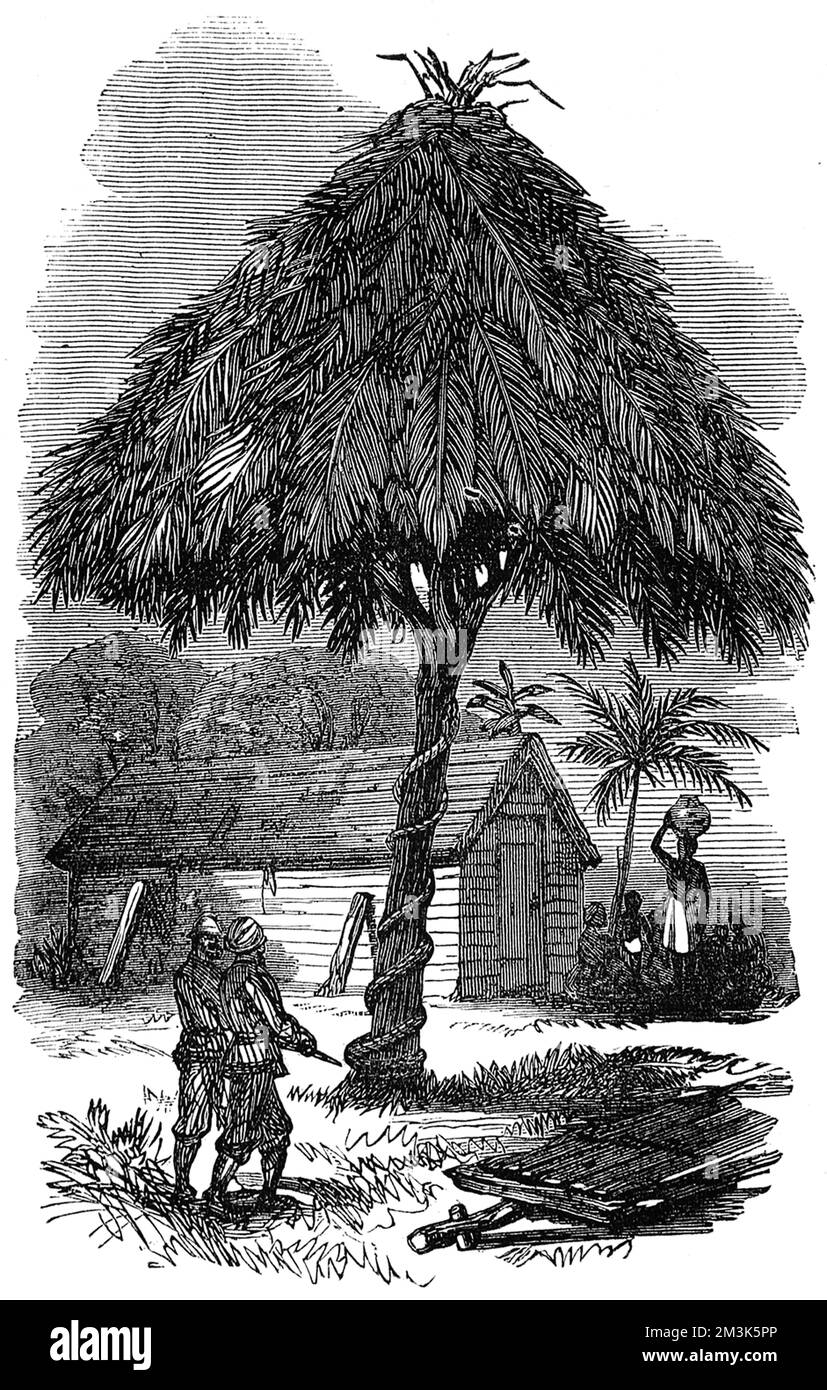 Die Strafe in der Armee wurde am Schlachthof des Lagers verhängt, wo das Opfer von einem Polizisten seiner Rasse ausgepeitscht wurde, auf Befehl eines englischen Offiziers. Dies ist eine Illustration der in Inquabim, die während des Ashanti-Krieges von 2. (1873-74) gezeichnet wurde. 1873, nach Jahrzehnten einer unruhigen Beziehung zwischen den Briten und dem Volk der Acing in Zentral-Ghana, griffen die Briten die Hauptstadt von Kumasi in Asanti an und zerstörten sie praktisch. Am 24. Juli 1874 erklärten sie Ghana offiziell zur Kronkolonie. Datum: 21. Februar 1874 Stockfoto