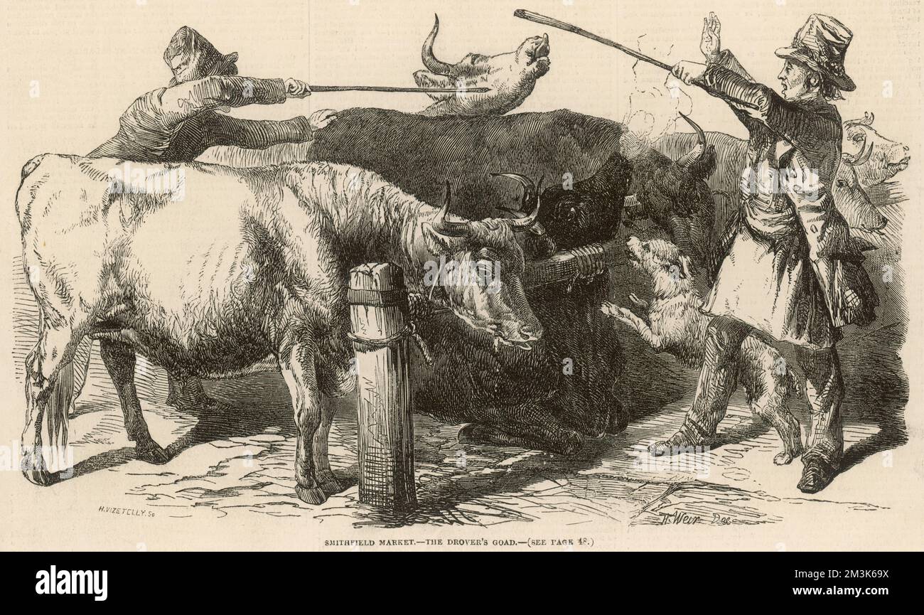 Paare von Viehtreiber und ihren Tieren auf dem Smithfield Market in London. 1849 Stockfoto