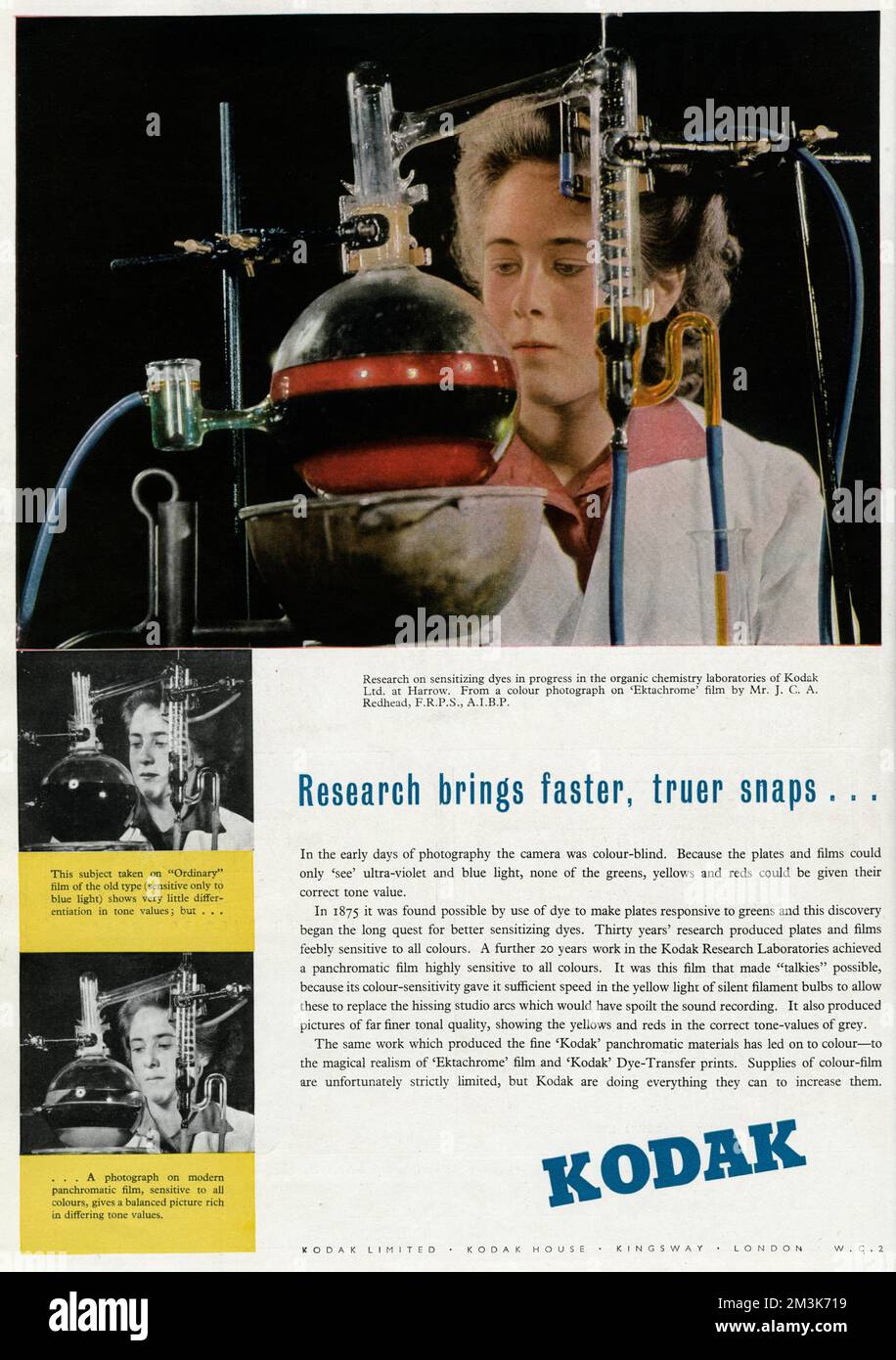 „Forschung bringt schnellere, wirklichkeitsgetreuere Schnappschüsse“ Hier zeigt ein Chemiker, der gerade dabei ist, einen panchromatischen Film zu erzielen, der für alle Farben hochempfindlich ist. 1948 Stockfoto