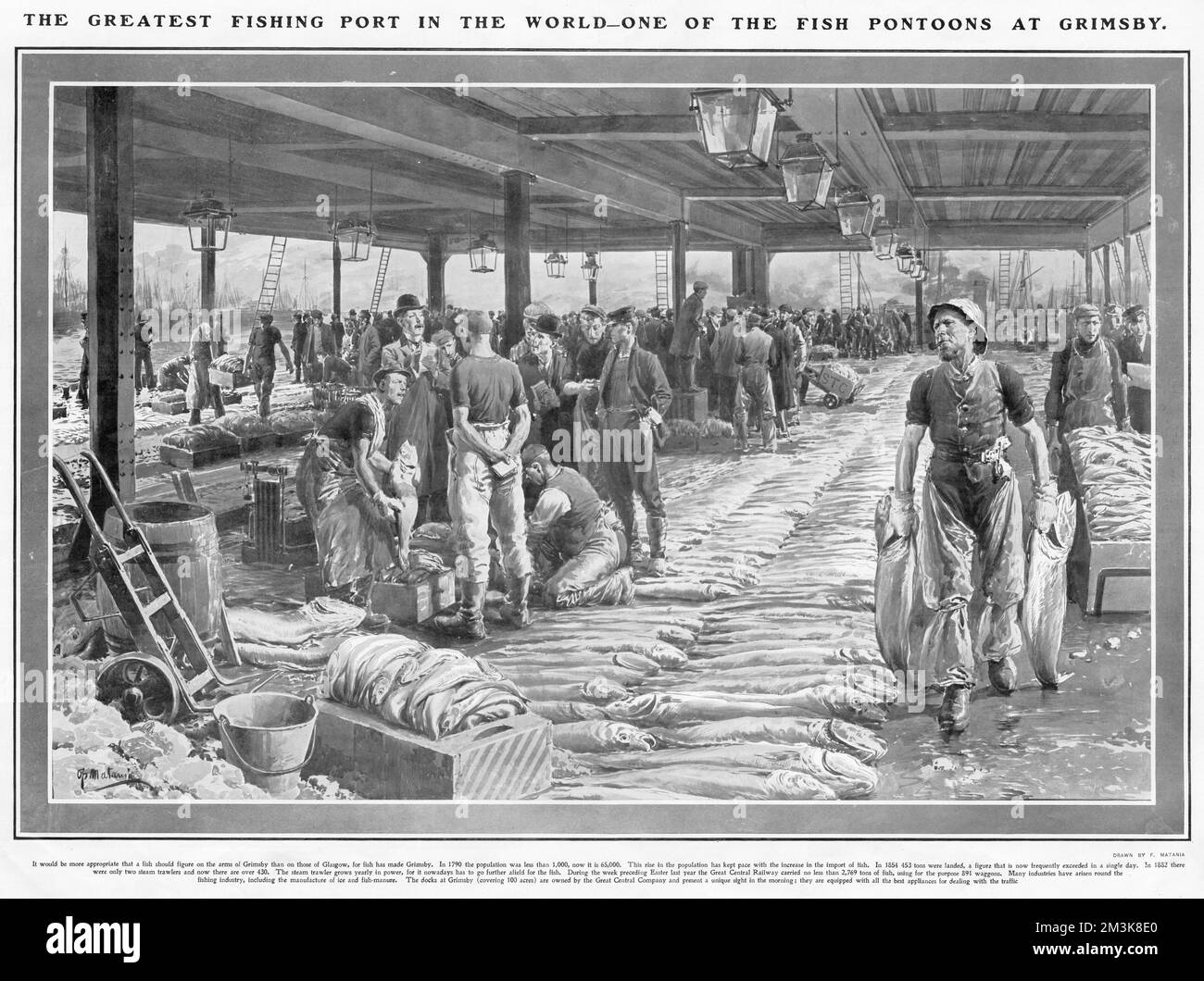 Eine Illustration dessen, was in diesem Bereich als "einer der größten Fischereihäfen der Welt" beschrieben wurde. Im Jahr 1790 betrug die Einwohnerzahl weniger als 1.000 und im Jahr 1907 65.000. In 1854 453 Tonnen wurden Fische angelandet, und zum Zeitpunkt der Aufnahme wurde diese Zahl häufig an einem einzigen Tag überschritten. Die Docks in Grimsby bedeckten 100 Hektar. Stockfoto