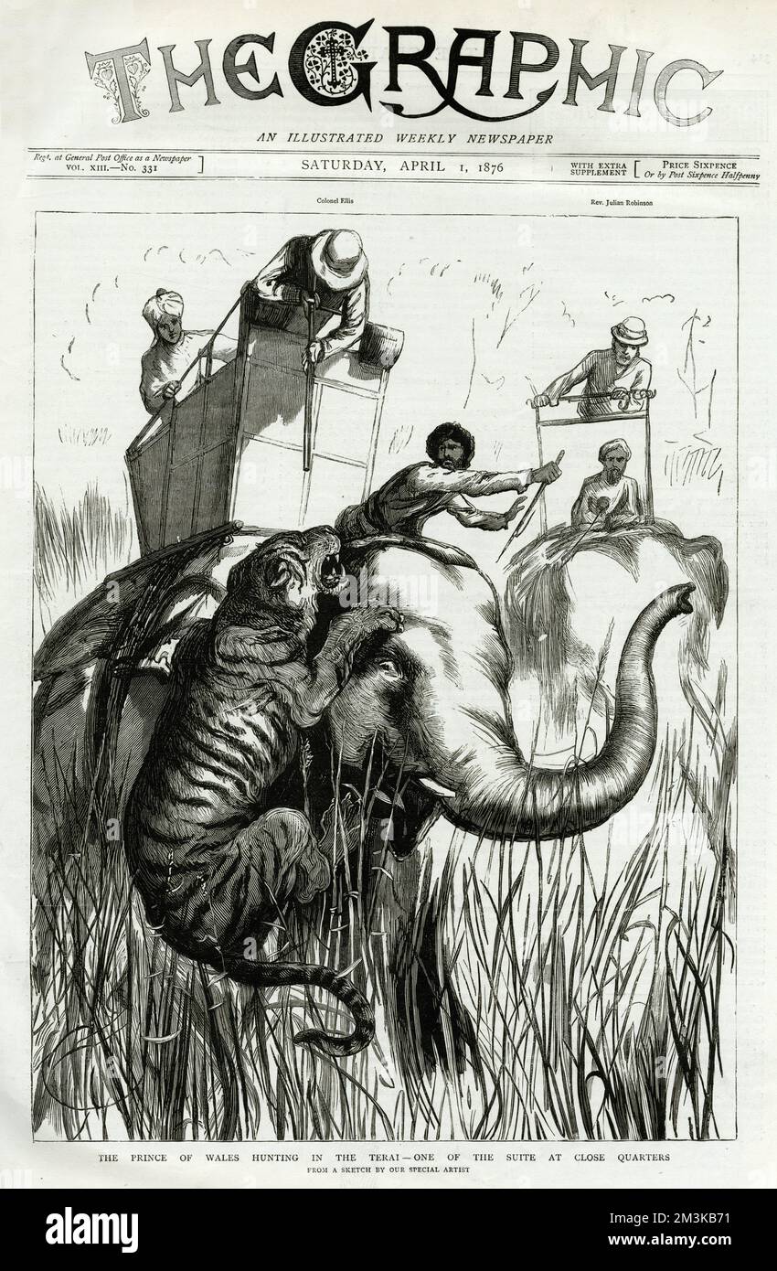 Elefant von Tiger angegriffen Stockfoto