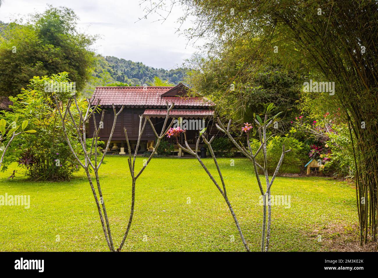 Traditionelles lokales Holzhaus im Wald der malaysischen Insel Langkawi. Auf einer Lichtung im Regenwald, ein typisches Holzhaus. Malaiische Häuser r Stockfoto