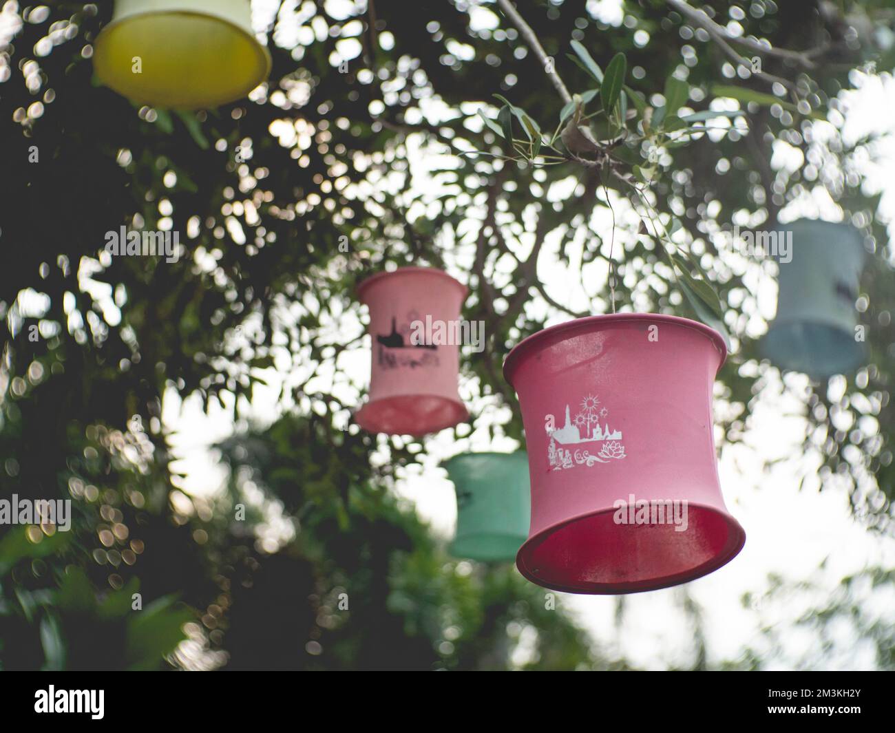 Rosa Laterne, die am Baum hängt Stockfoto