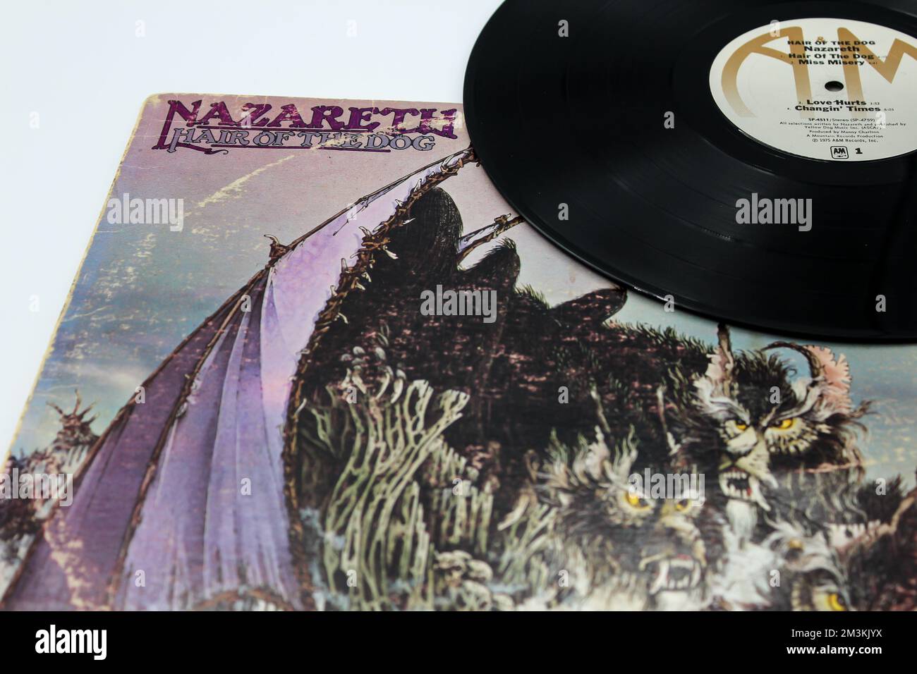 Das Hair of the Dog ist das sechste Studioalbum der schottischen Hard Rock Band Nazareth auf einem Albumcover von Vinyl-Schallplatten-LP. Stockfoto