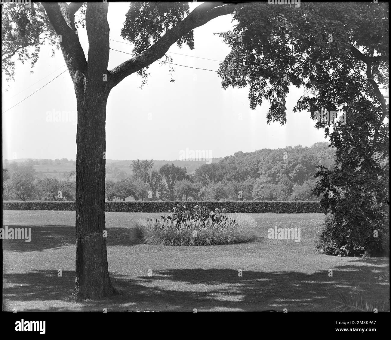 Peabody, Andover Street, Aussicht, Garten im Mrs. Jacob C. Rogers Estate, 'Oak Hill', Anwesen, Gärten, Bäume. Frank Cousins Glass Plate Negatives Collection Stockfoto