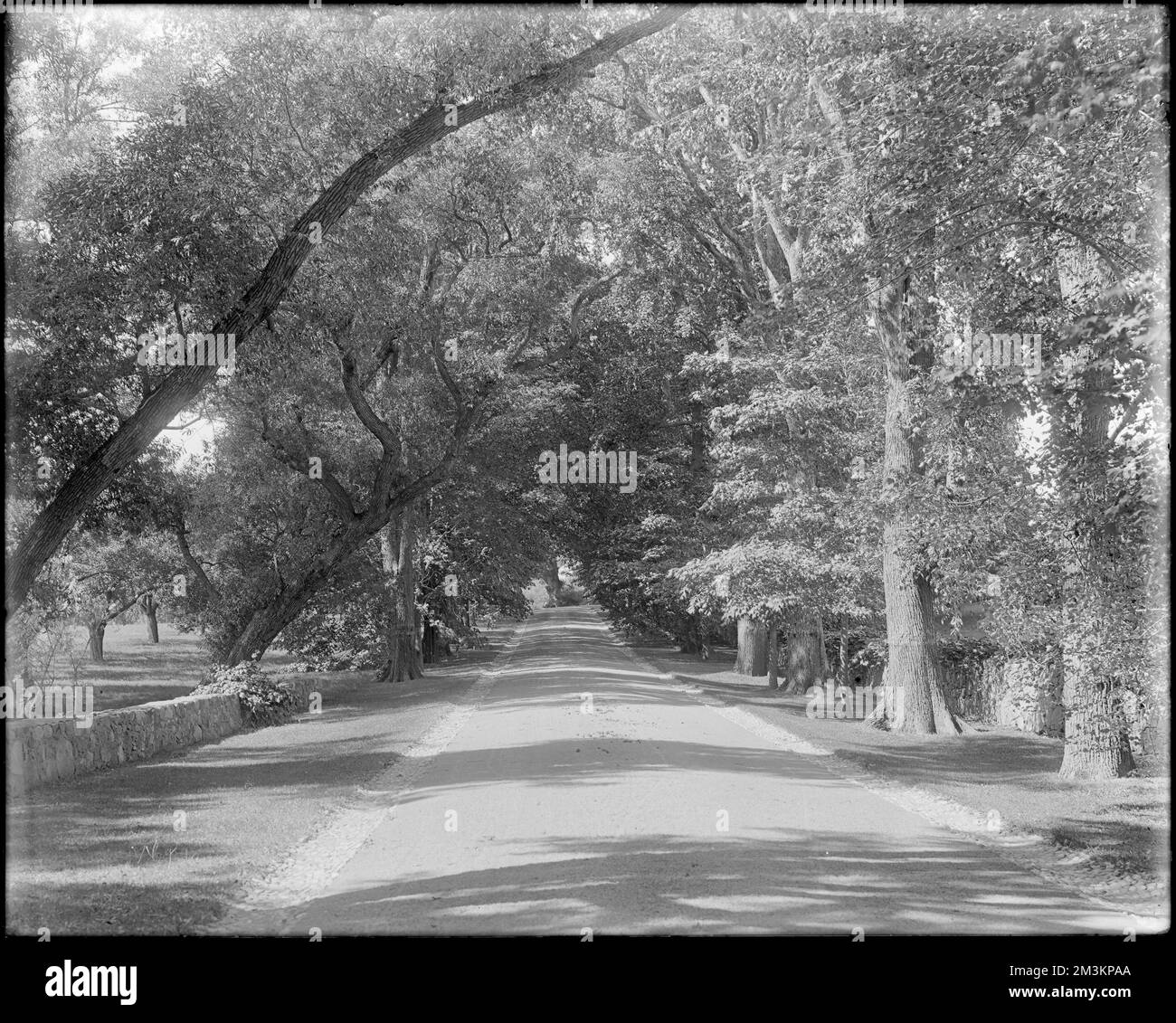 Peabody, Andover Street, Ausblicke, Garten im Mrs. Jacob C. Rogers Estate, „Oak Hill“, Anwesen, Straßen, Gärten, Bäume. Frank Cousins Glass Plate Negatives Collection Stockfoto