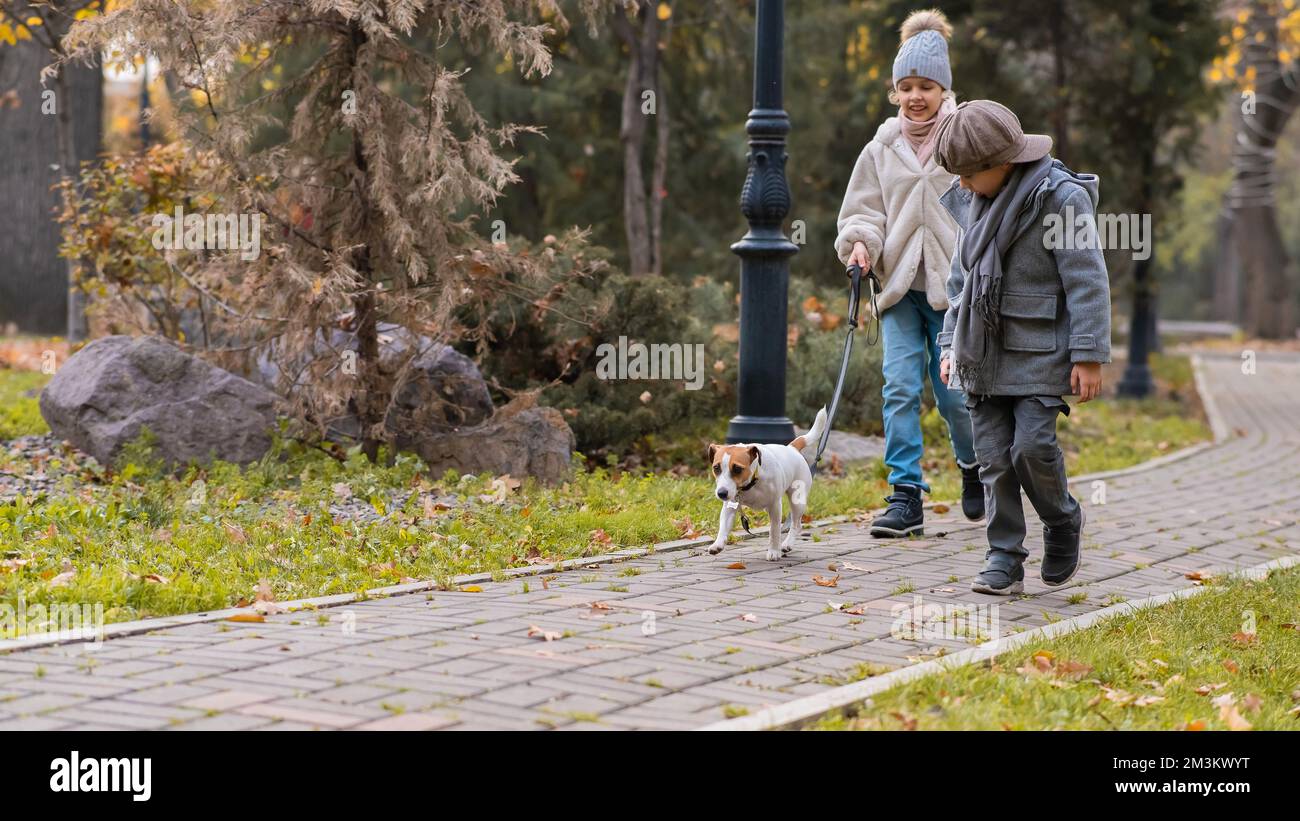 Bruder und Schwester gehen im Herbst mit dem Hund im Park. Junge und Mädchen laufen mit Jack russell Terrier an der Leine. Stockfoto