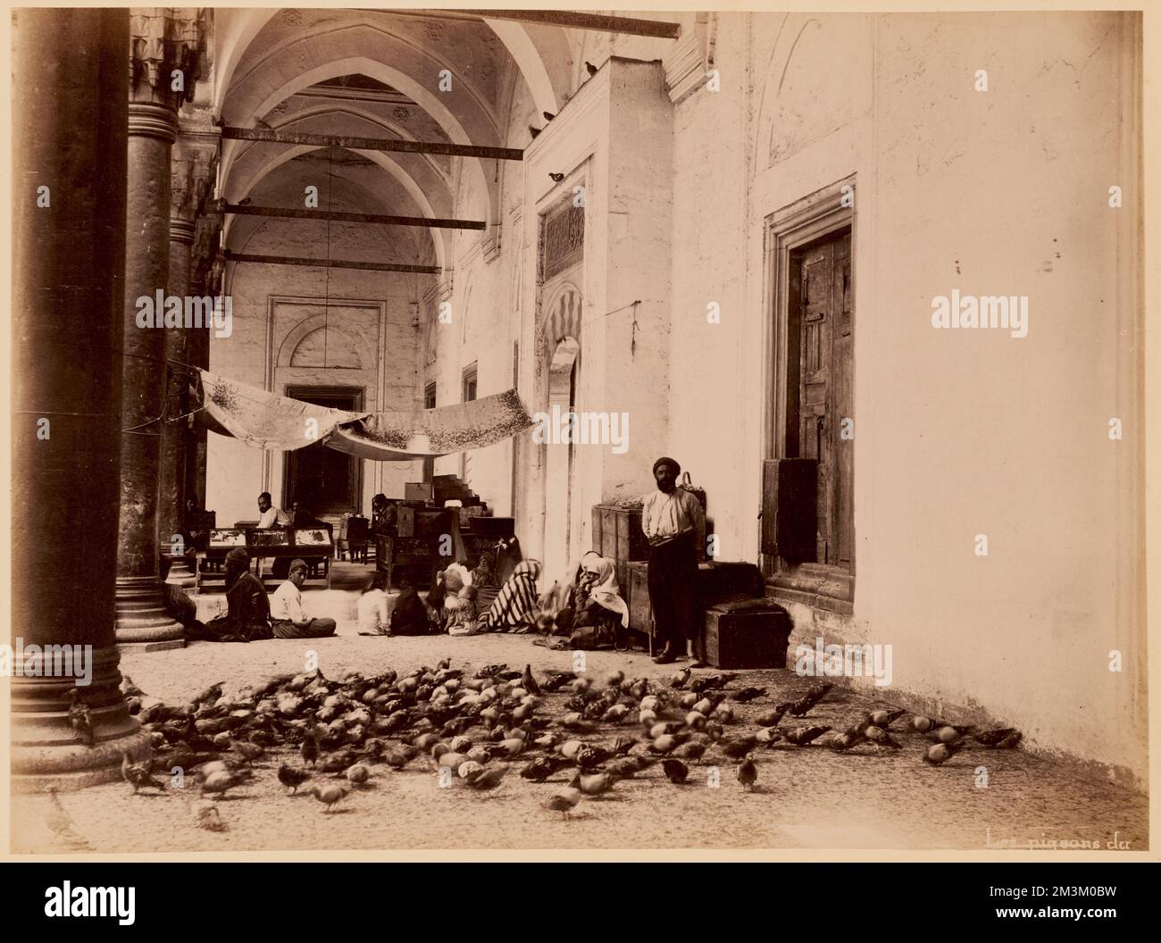 Les Pigeons du [la mosquée du Sultan Bayazid] , Tauben, Moscheen, Sultan II Bayezid Camii Amasya, Amasya İli, Türkei. Nicholas Catsimpoolas Kollektion Stockfoto