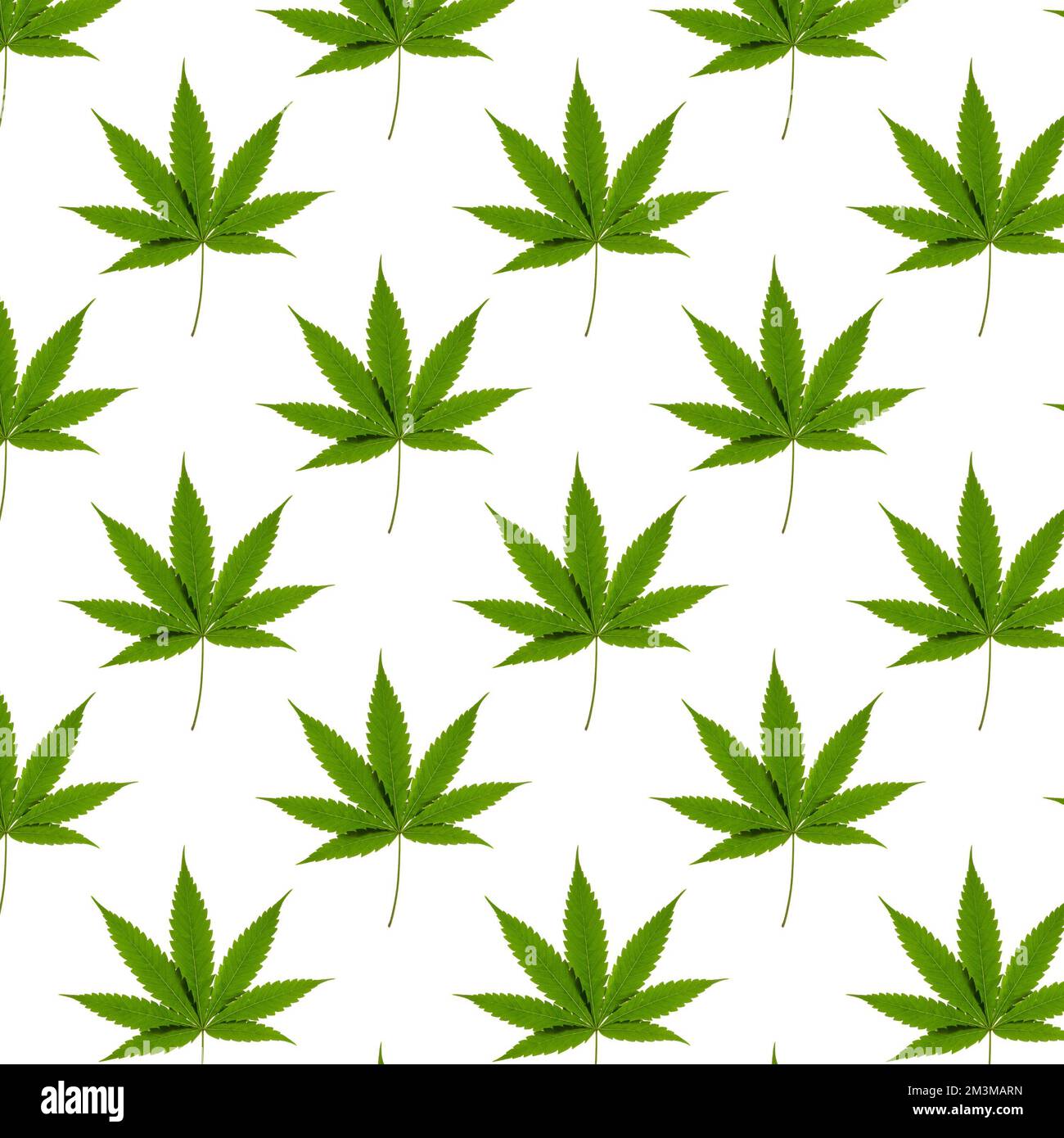 Nahtloses Muster eines grünen Cannabisblattes auf weißem Hintergrund. Isolierter Hintergrund. Tapete. Horizontales Foto für Ihr Design. Stockfoto