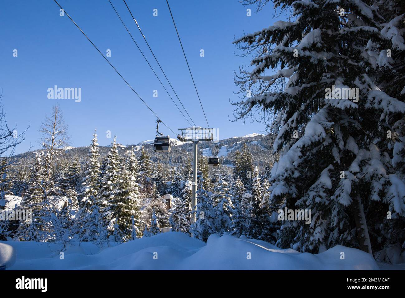 Winterwald-Fotohintergrund 3x2,4 M – Vinyl Mit Schnee & Kiefern – Für Weihnachtsfotos & Partys