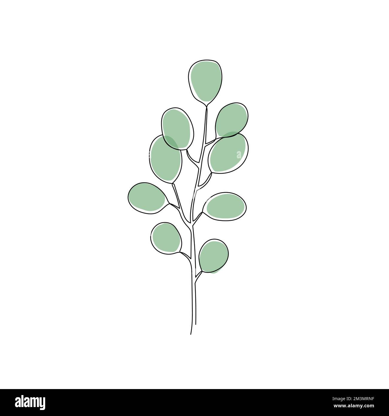 Umriss pflanzlicher Eukalyptusblätter. Ein dekoratives Pflanzenblatt mit fortlaufender Linienart. Editierbares Schlaganfall-Eukalyptusblütenelement. Darstellung isolierter Vektoren Stock Vektor