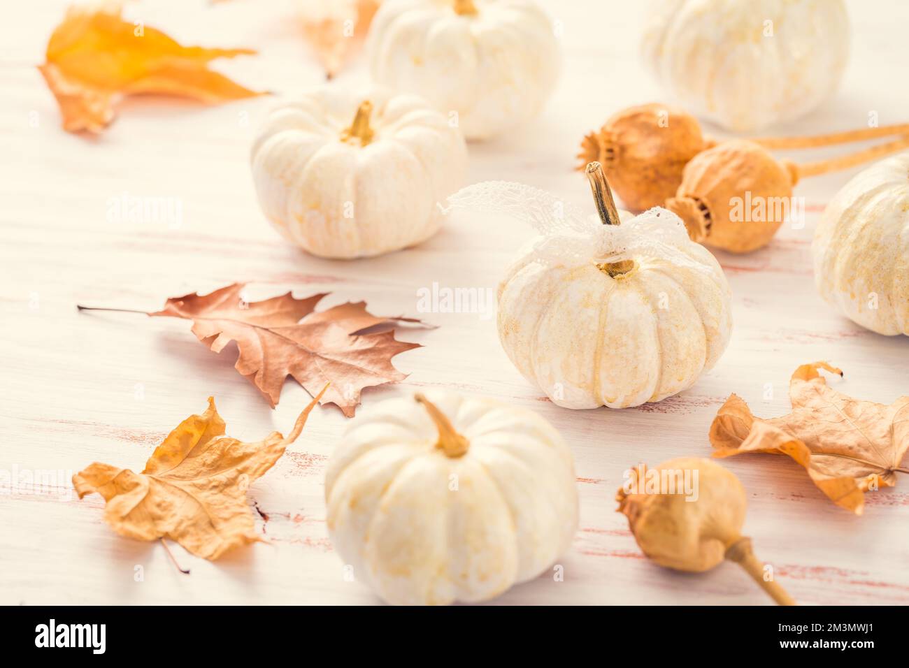 Weiße Kürbisse mit Herbstblättern auf Holzhintergrund im Vintage-Stil. Thanksgiving- und Halloween-Konzept. Stockfoto