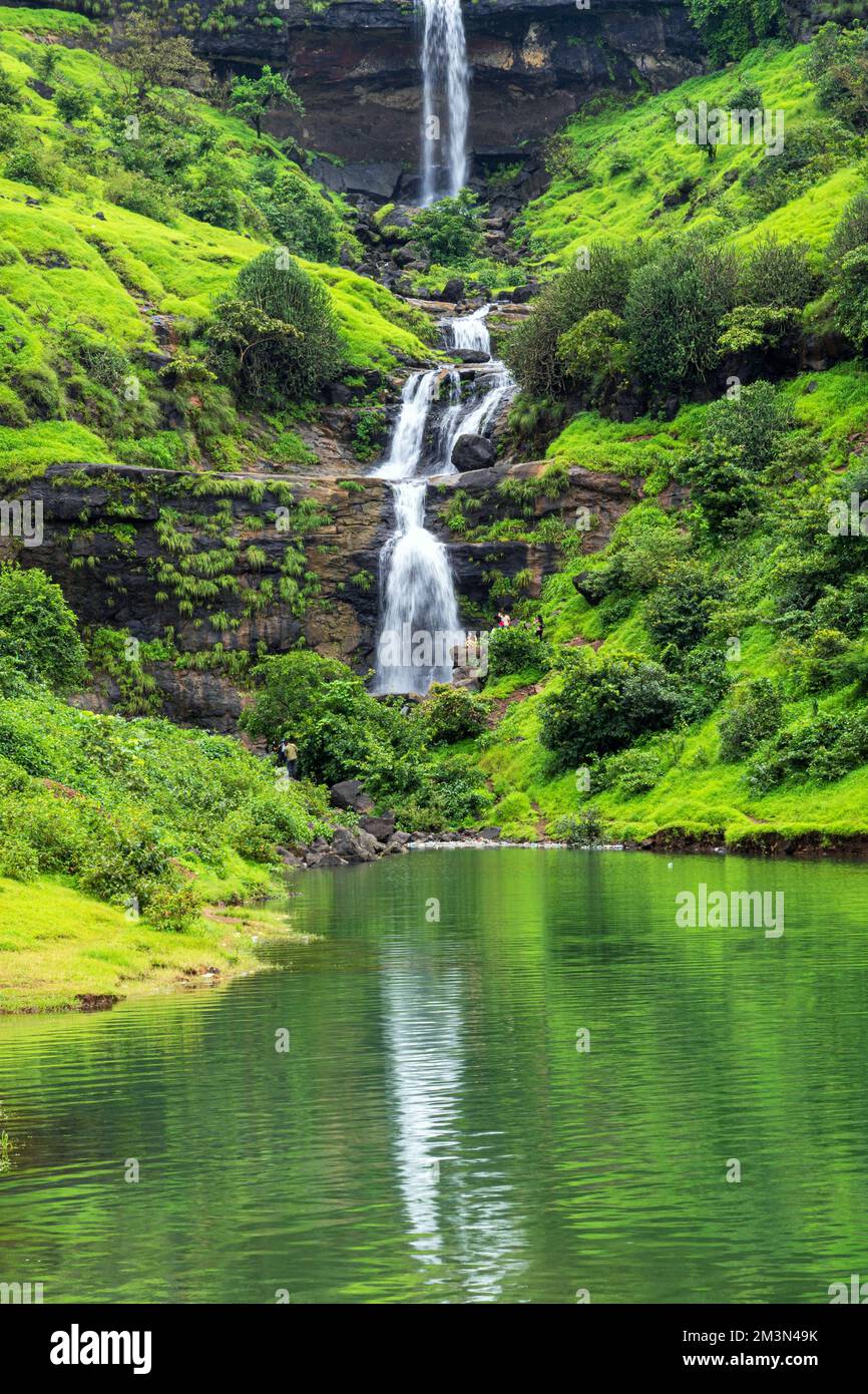 Wasserfall, Bhandardara, Igatpuri, westliche Ghats, Akole tehsil, Ahmednagar District, Maharashtra, Indien Stockfoto