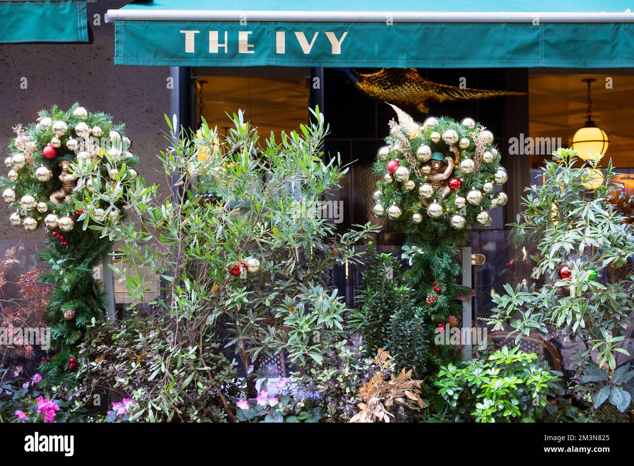 Das Ivy Soho Brasserie Restaurant mit Weihnachtsdekorationen Kranz, Pflanzen in Töpfen draußen auf der Broadwick Street London England 2022 KATHY DEWITT Stockfoto