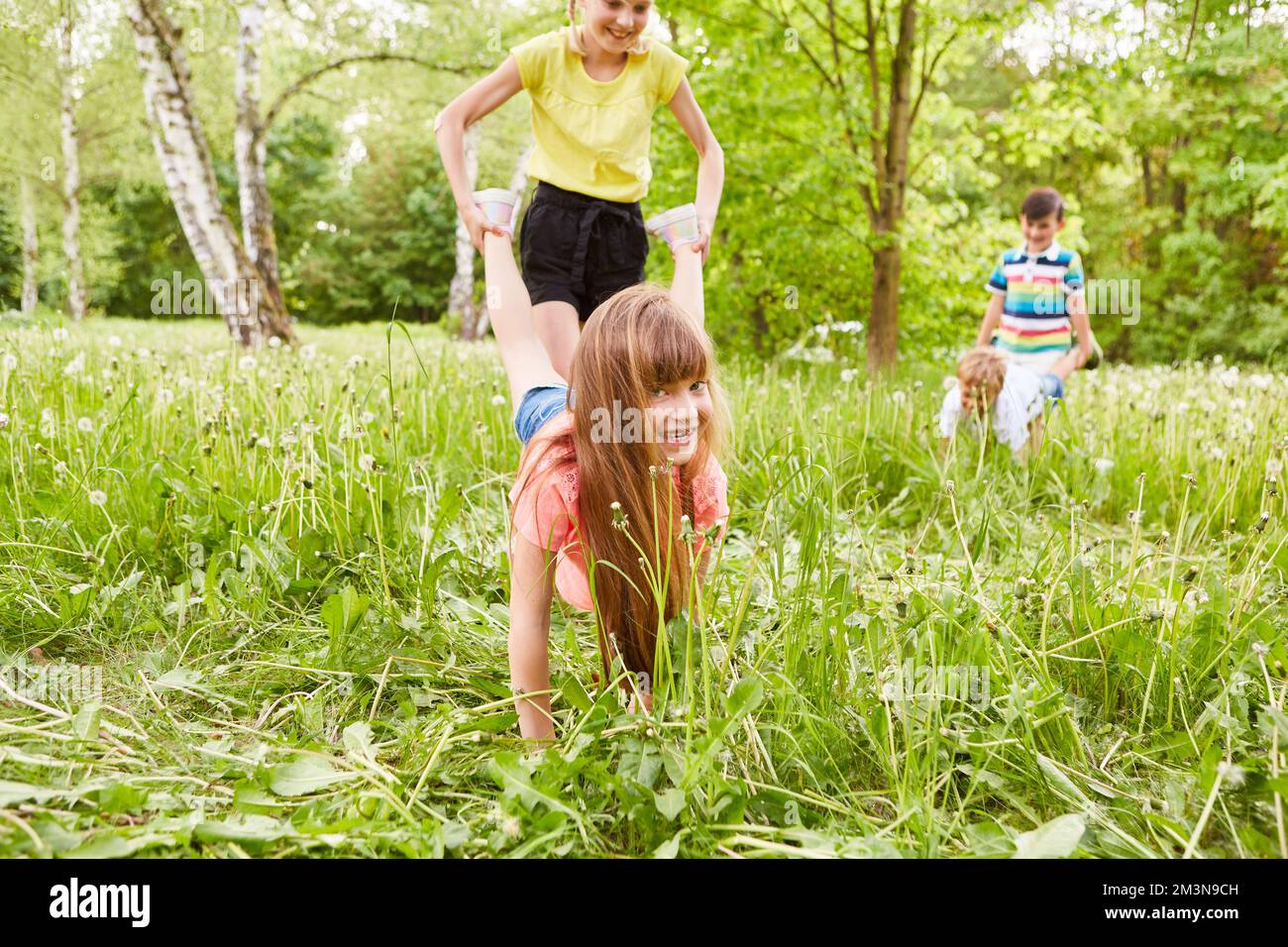 Männliche und weibliche Freunde, die beim Karren-Wettkampf im Park Spaß haben Stockfoto