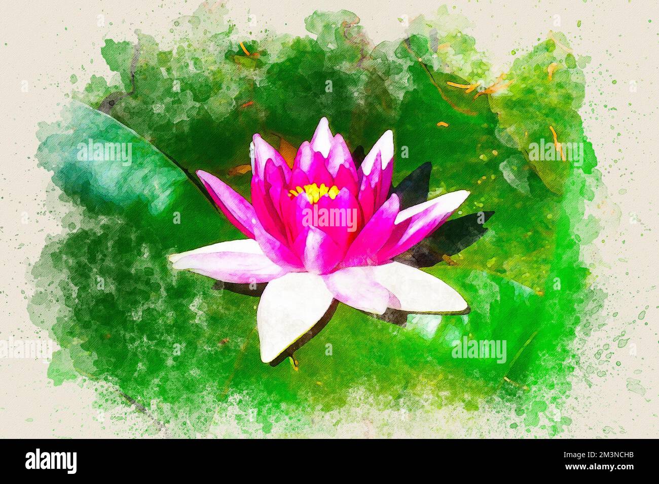 Aquarellmalerei einer rosa Lotusblume oder einer Wasserlilie auf grünem Hintergrund. Stockfoto