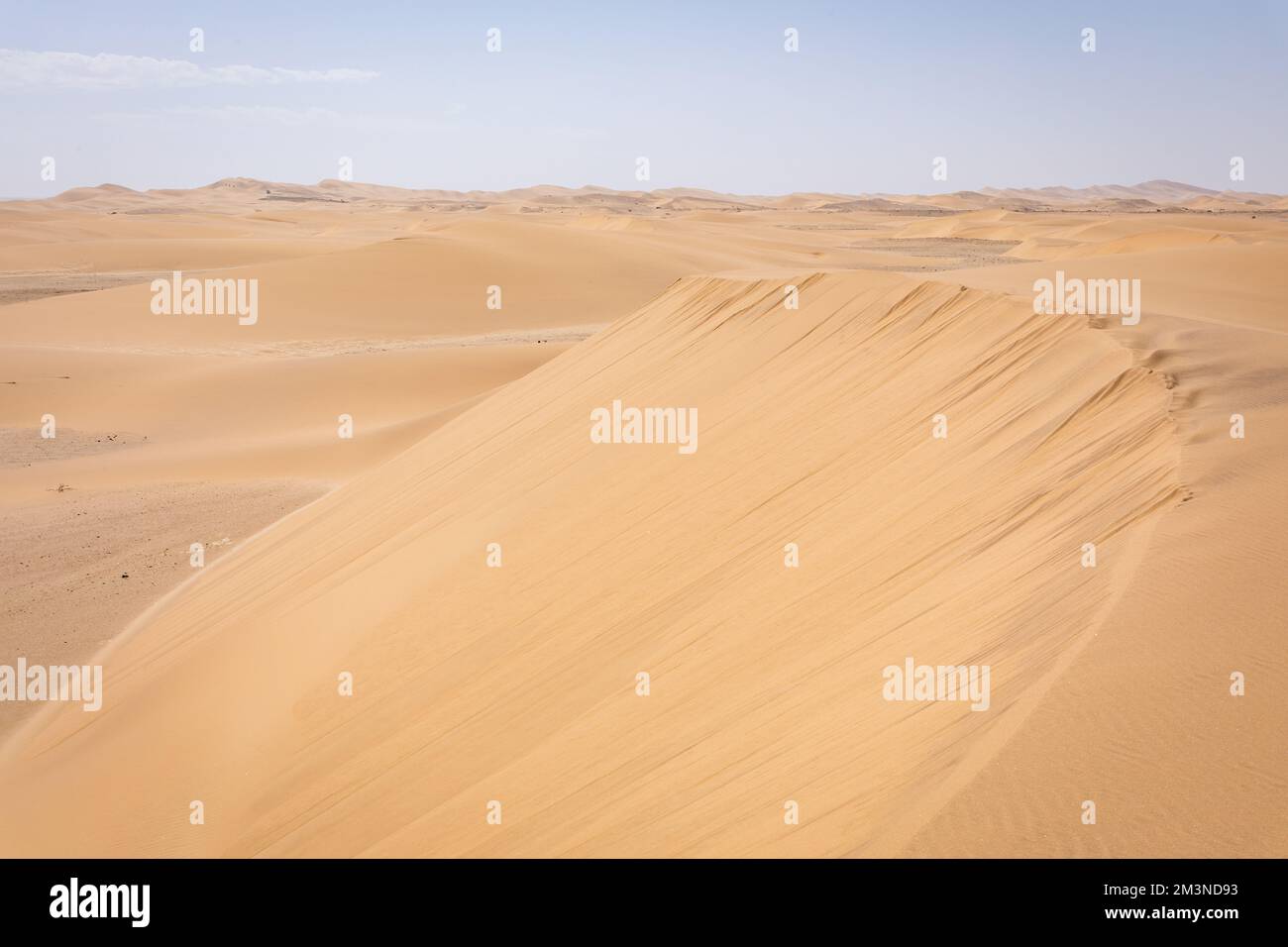 Namibia-Wüste. Sanddünen in der Nähe von Swakopmund. Skelettküste. Namibia. Afrika. Stockfoto