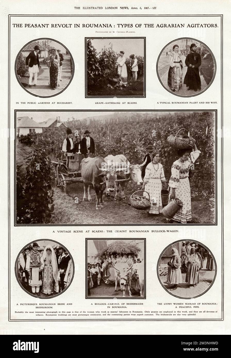 Eine Seite aus den illustrierten London News zeigt die Art rumänischer Menschen, die angeblich in die Bauernaufstände verwickelt waren, die im März 1907 begannen und nach der Einberufung der Armee zur Wiederherstellung der Ordnung zum Tod vieler Tausender Menschen führten. Im Preis inbegriffen sind ein Paar in den Gärten von Bukarest, eine Szene der Traubensammlung in Scaeni, ein rumänischer Priester und seine Frau, ein Bullock-Wagon, eine Braut und ein Bräutigam, Brautjungfern und Zigeunerinnen, die Freimaurer rauchen. Datum: 1907 Stockfoto