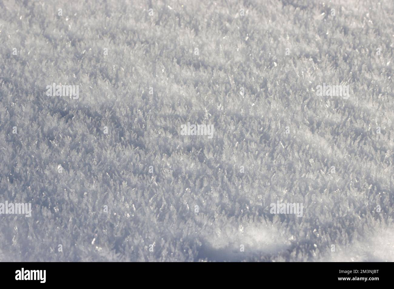 Schnee Stockfoto