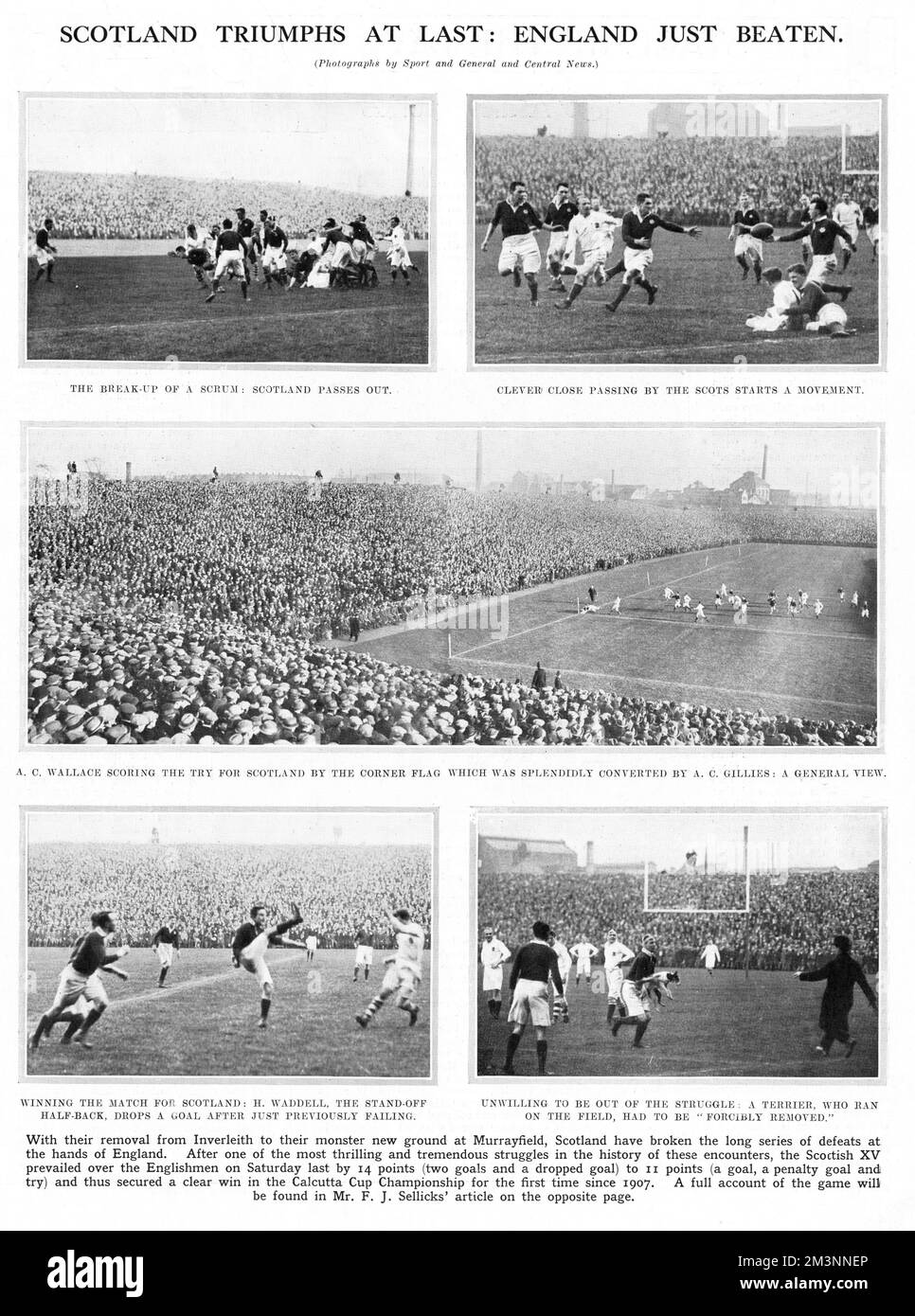 Schottland siegt bei der Calcutta-Cup-Meisterschaft über England, während des Eröffnungsspiels für das neu gebaute Murrayfield-Stadion, das im März 1925 eingeweiht wurde. Datum: 1925 Stockfoto
