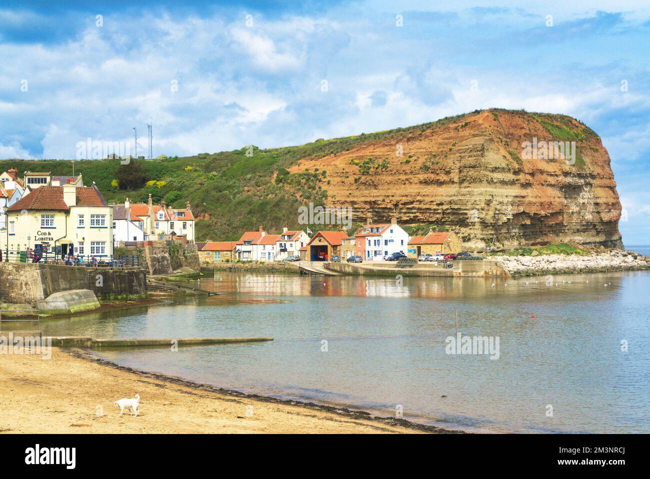 Staithes Hafen, Strand und Klippen vom Strand bei Flut. North Yorkshire, England, Großbritannien Stockfoto