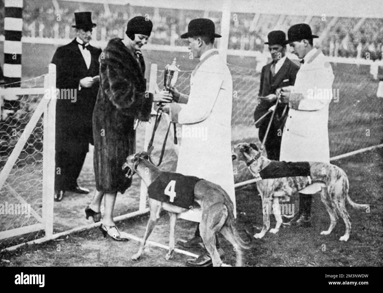 Nur ein Jahr nach der Ankunft der ersten Windhundrennen in Großbritannien hat die Gesellschaft den Sport von ganzem Herzen aufgenommen. Hier präsentiert die Herzogin von Sutherland dem Wailing Wing in White City den Besucherpokal. Datum: 1927 Stockfoto