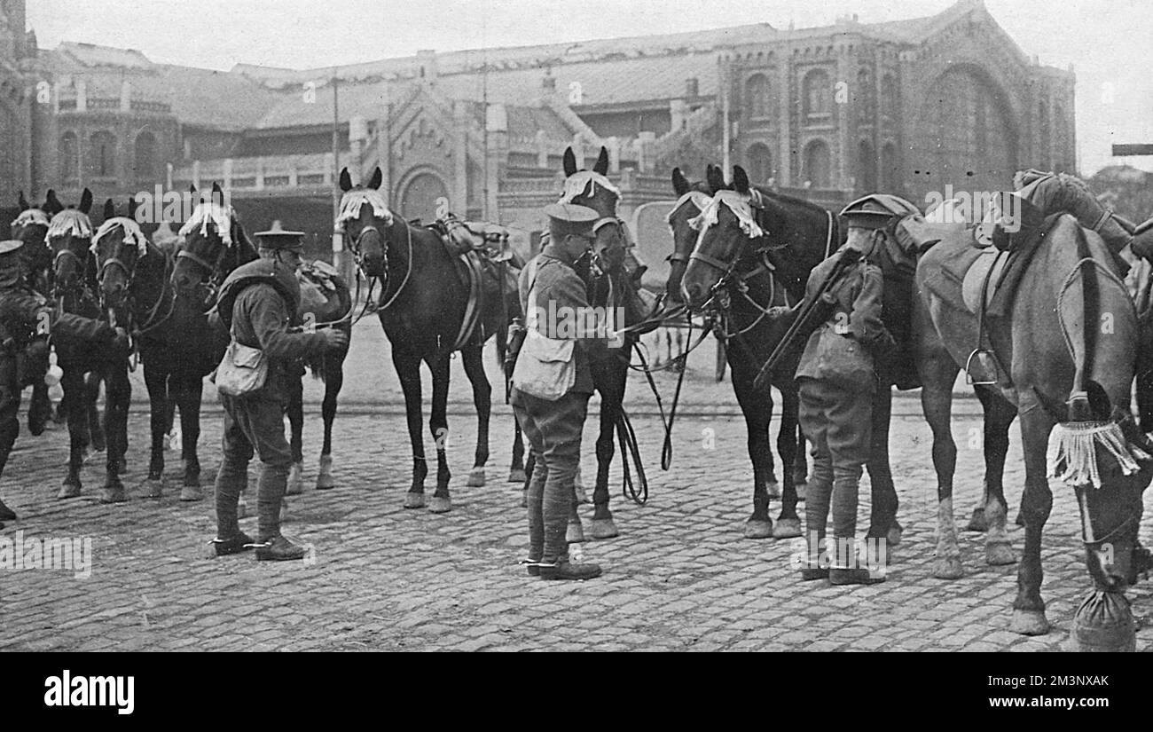 Einige der britischen Expeditionstruppen mit ihren Pferden am Kai in Boulogne vor dem Hauptbahnhof, ihrem Anlegepunkt in Frankreich. Die Ränder aus Stoff, die die Pferde um ihre Köpfe trugen, wurden entwickelt, um Reizungen durch Fliegen zu verhindern. Die Sphäre berichtete, dass die britischen Truppen bei ihrer Ankunft vom Volk von Boulogne gefeiert wurden, und lud sie ein, kostenlos aus den Geschäften zu nehmen, was sie wollten. Datum: August 1914 Stockfoto