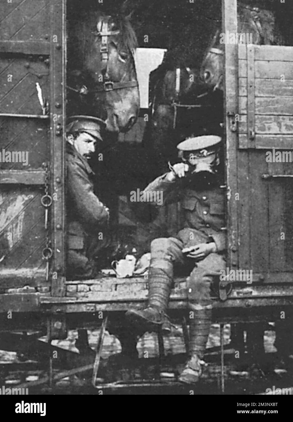 Die Soldaten der Britischen Expeditionstruppe essen mit dem Zug von Boulogne nach vorne und teilen sich eine Pferdekiste mit ihren Pferden. August 1914 Stockfoto