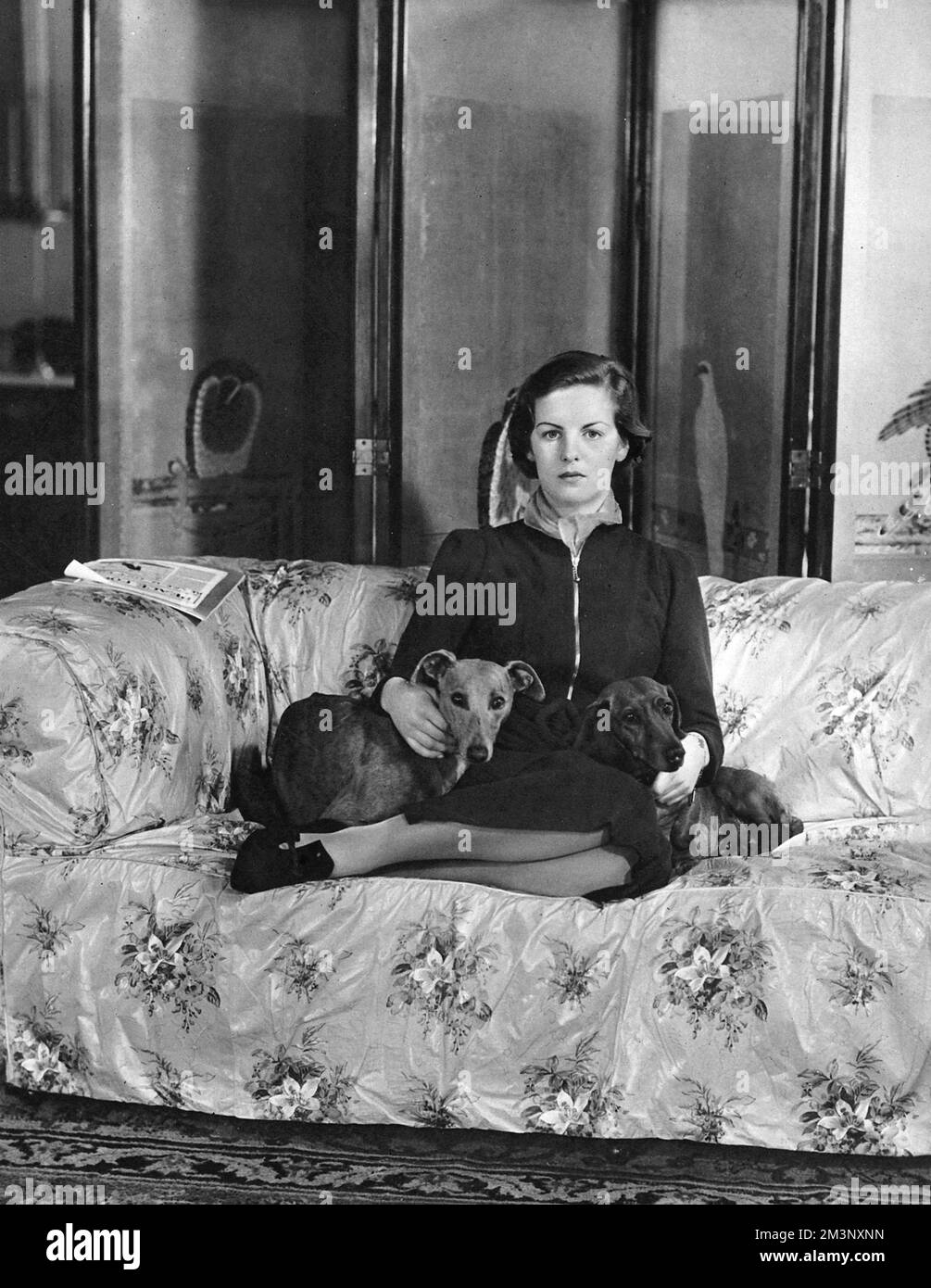 Deborah Mitford (geboren 1920), später Herzogin von Devonshire, jetzt Herzogin von Devonshire. Im Jahr ihrer Debütantin - 1938 Jahre - auf einem Blumensofa mit zwei ihrer Hunde, einem Windhund und einem Dackel. Datum: 1938 Stockfoto