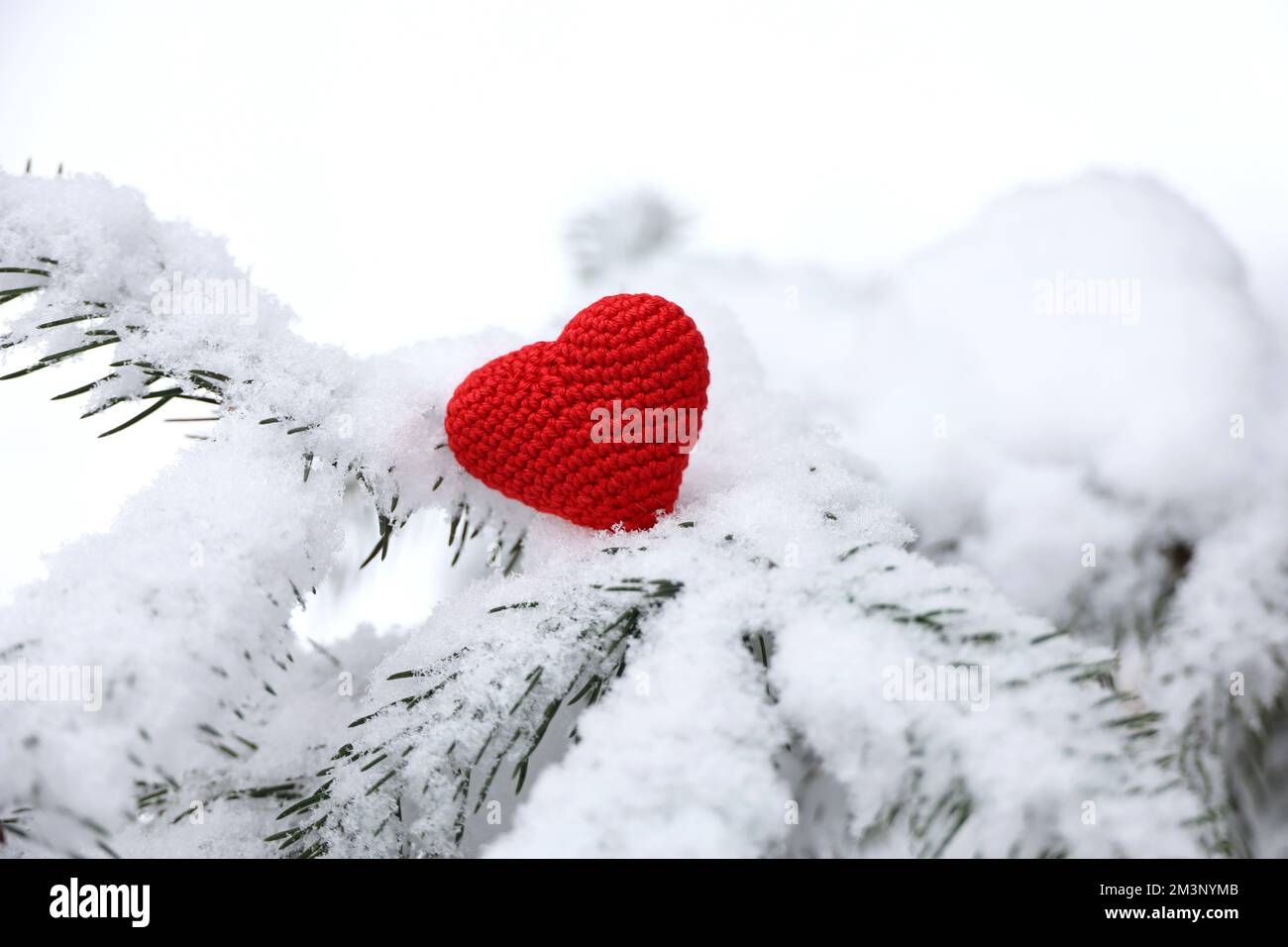 Gestricktes Liebesherz auf Tannenzweig, bedeckt mit Schnee im Winterwald. Hintergrund für die Weihnachtsfeier oder den Valentinstag Stockfoto