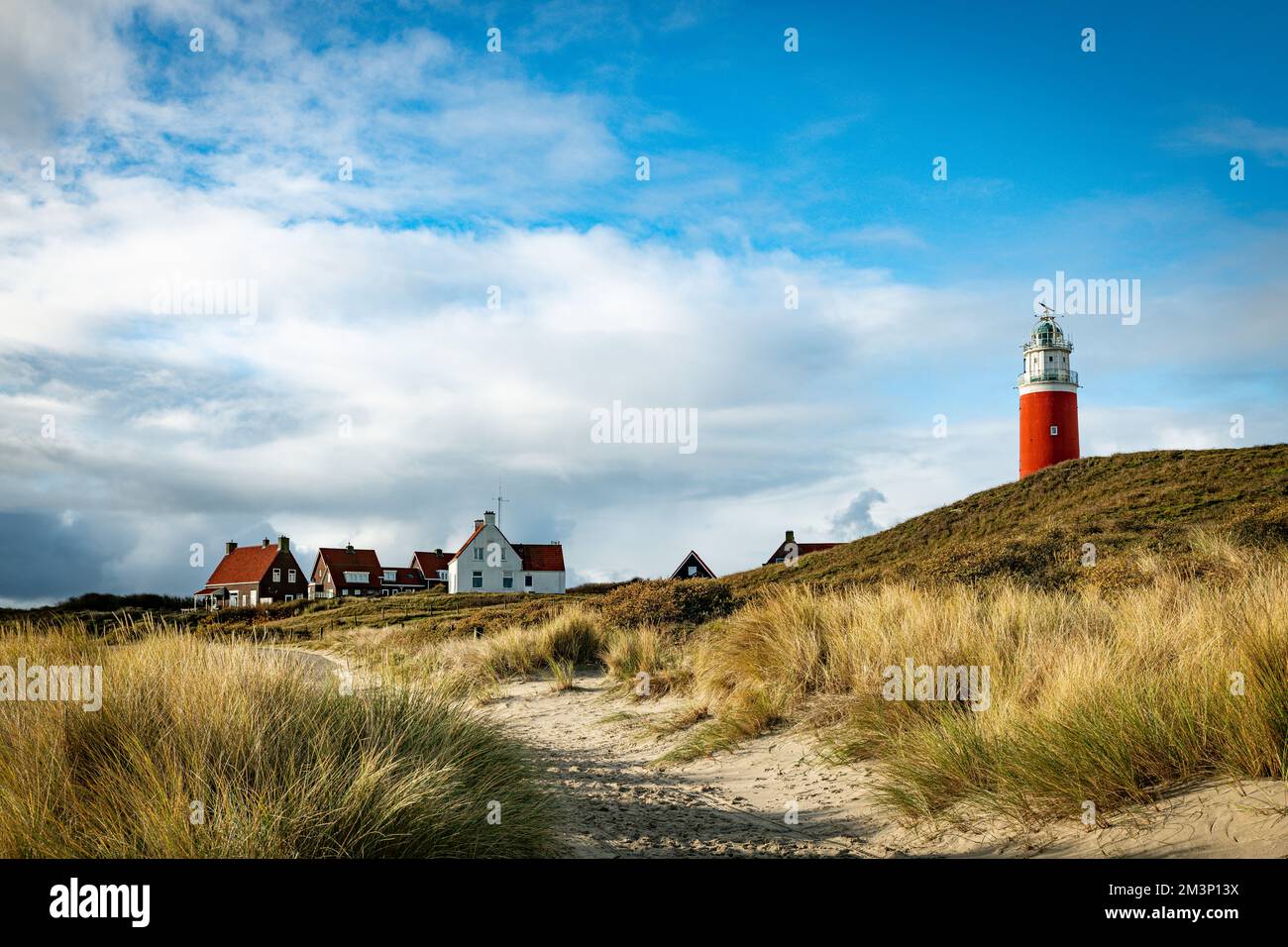 Der Leuchtturm der Insel texel in holland Stockfoto