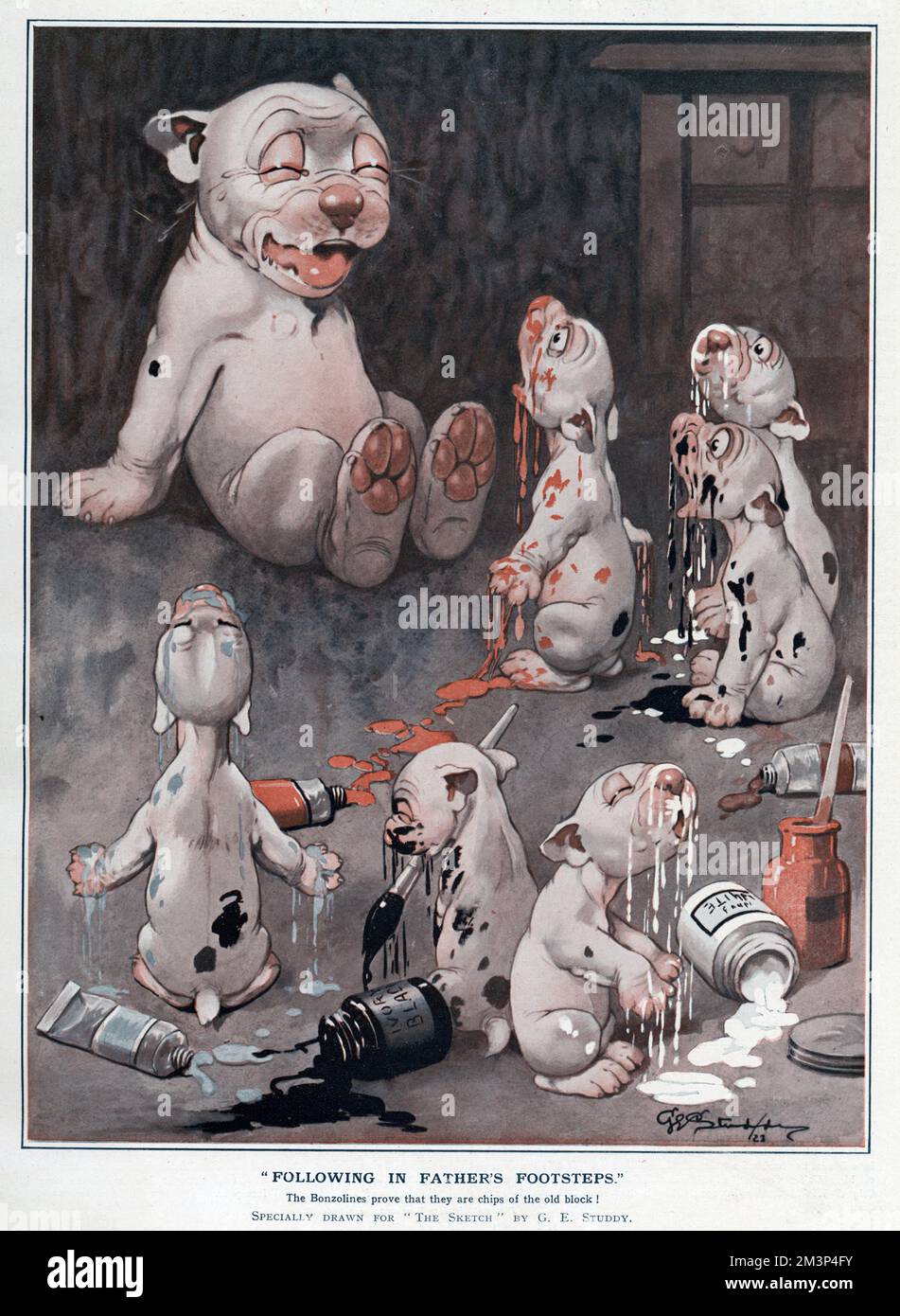 In Vaters Fußstapfen zu treten -- die Bonzoline folgen ihrem Vater, indem sie in ein komplettes Chaos mit Tinte und Farbe geraten, was Bonzo lustig findet. George Ernest Studdy (1878-1948) war der Schöpfer von „Bonzo“, einem kleinen Hund mit untertassenähnlichen Augen und wahlloser Zucht, der erstmals 1922 in der Skizze erschien. Der „Bonzo“-Wahnsinn durchwühlte die Welt und führte zu Postkarten, Einjahreszeitschriften, Spielzeug und anderen Waren. Das Guthaben sollte lauten: Nachlass von George Studdy/Gresham Marketing Ltd./ILN/Mary Evans Datum: 9. Mai 1923 Stockfoto